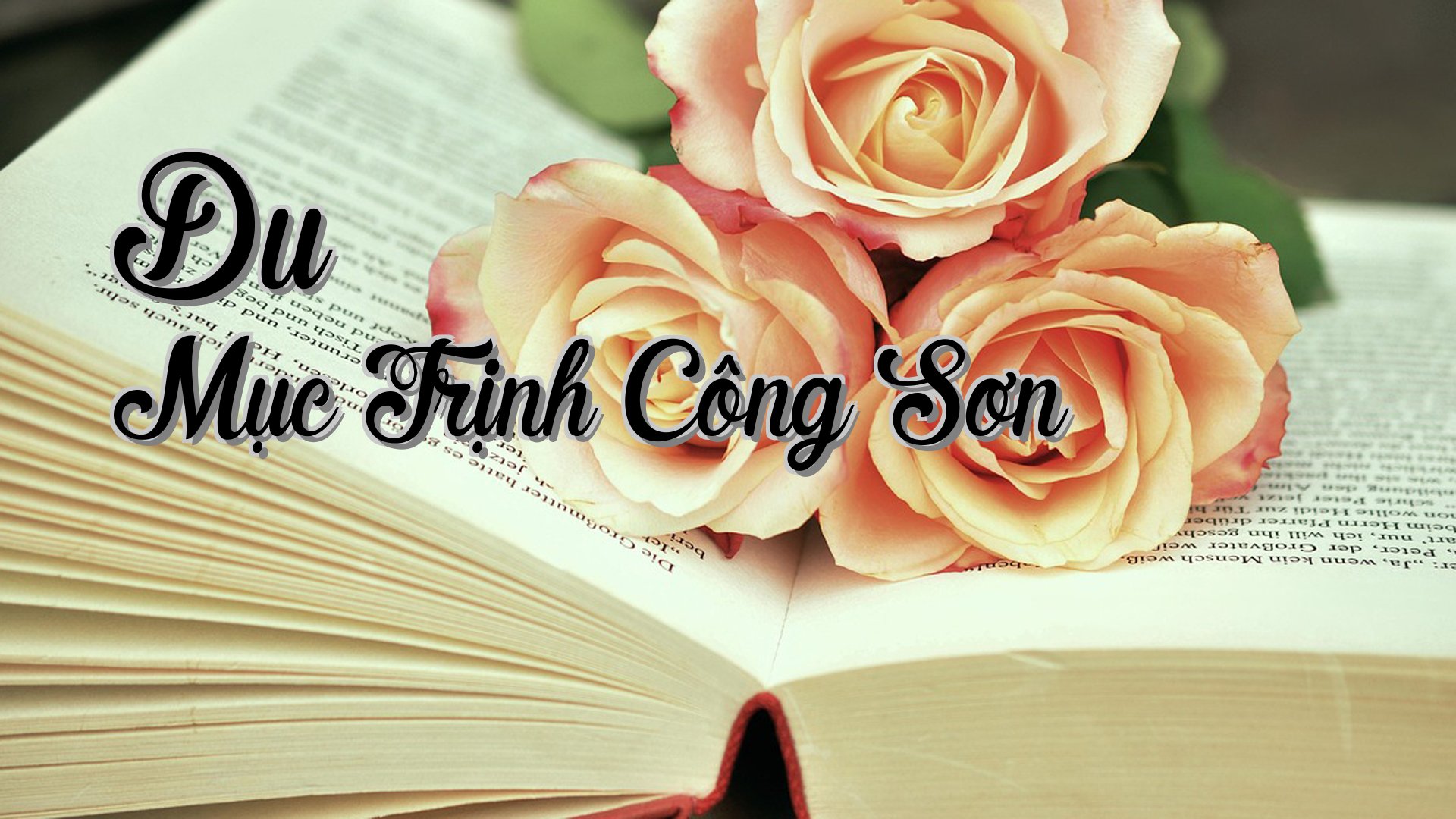 cover-Du Mục Trịnh Công Sơn
