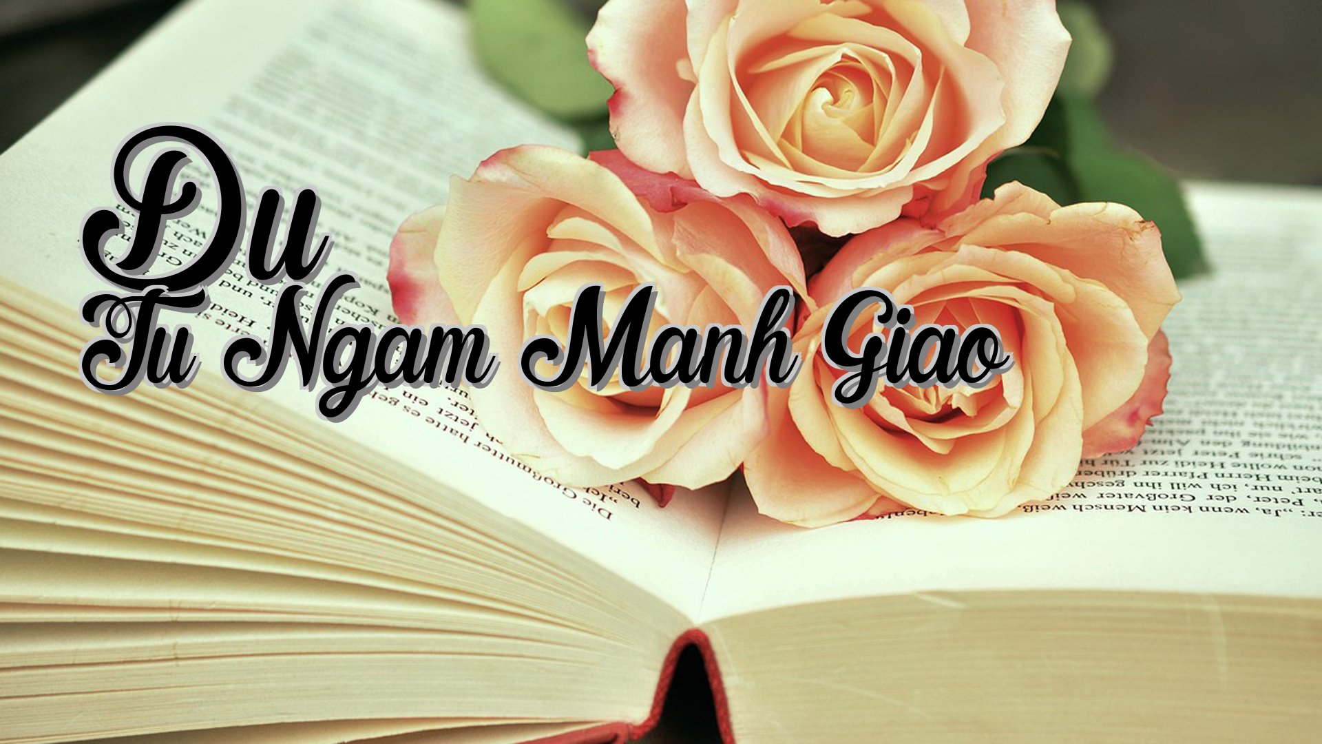 cover-Du Tu Ngam Manh Giao