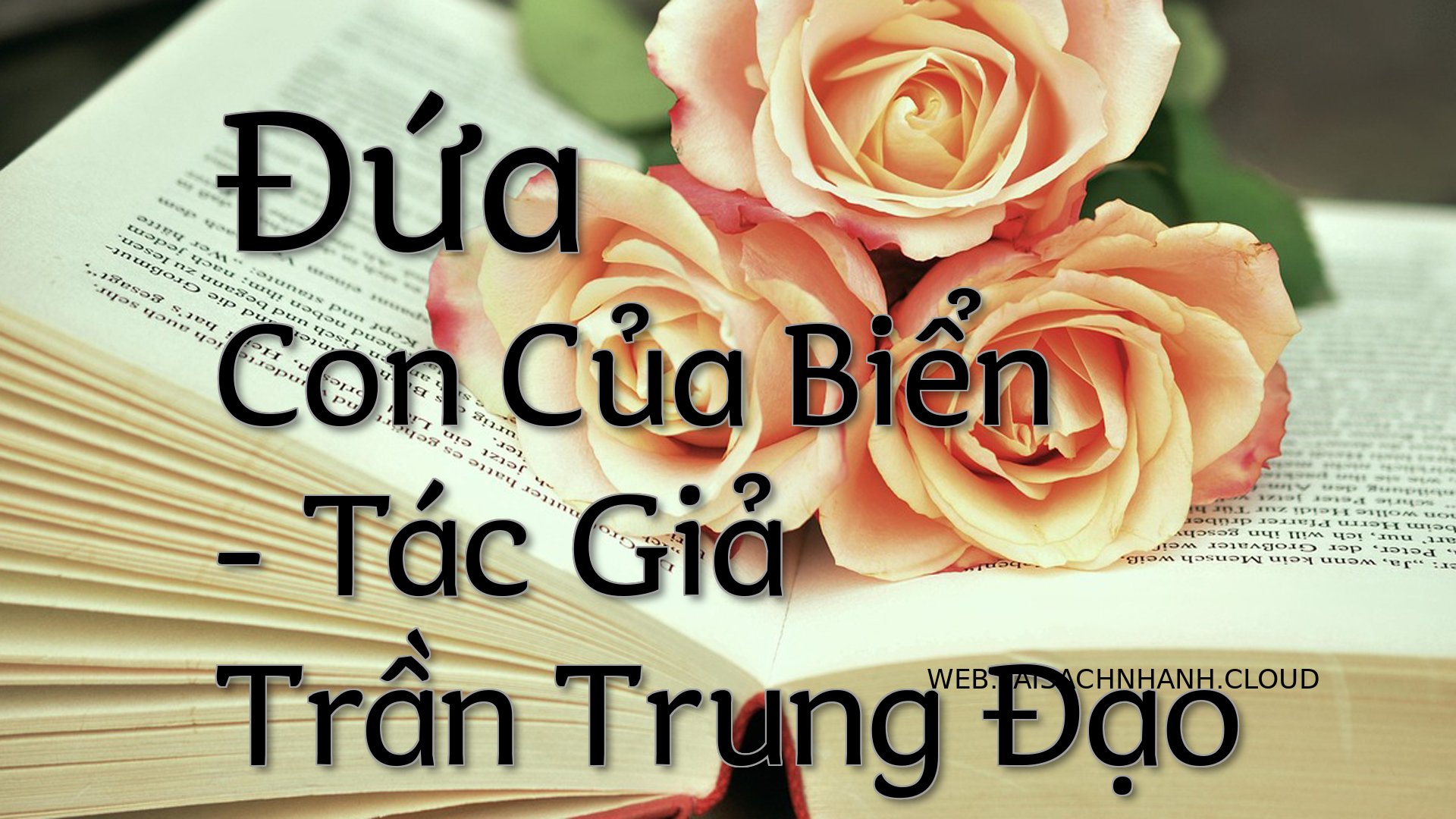 Cover Dua Con Cua Bien.jpg