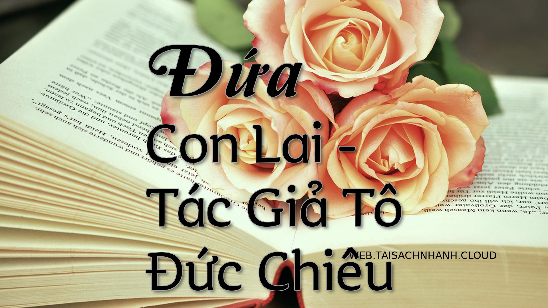 Cover Dua Con Lai.jpg