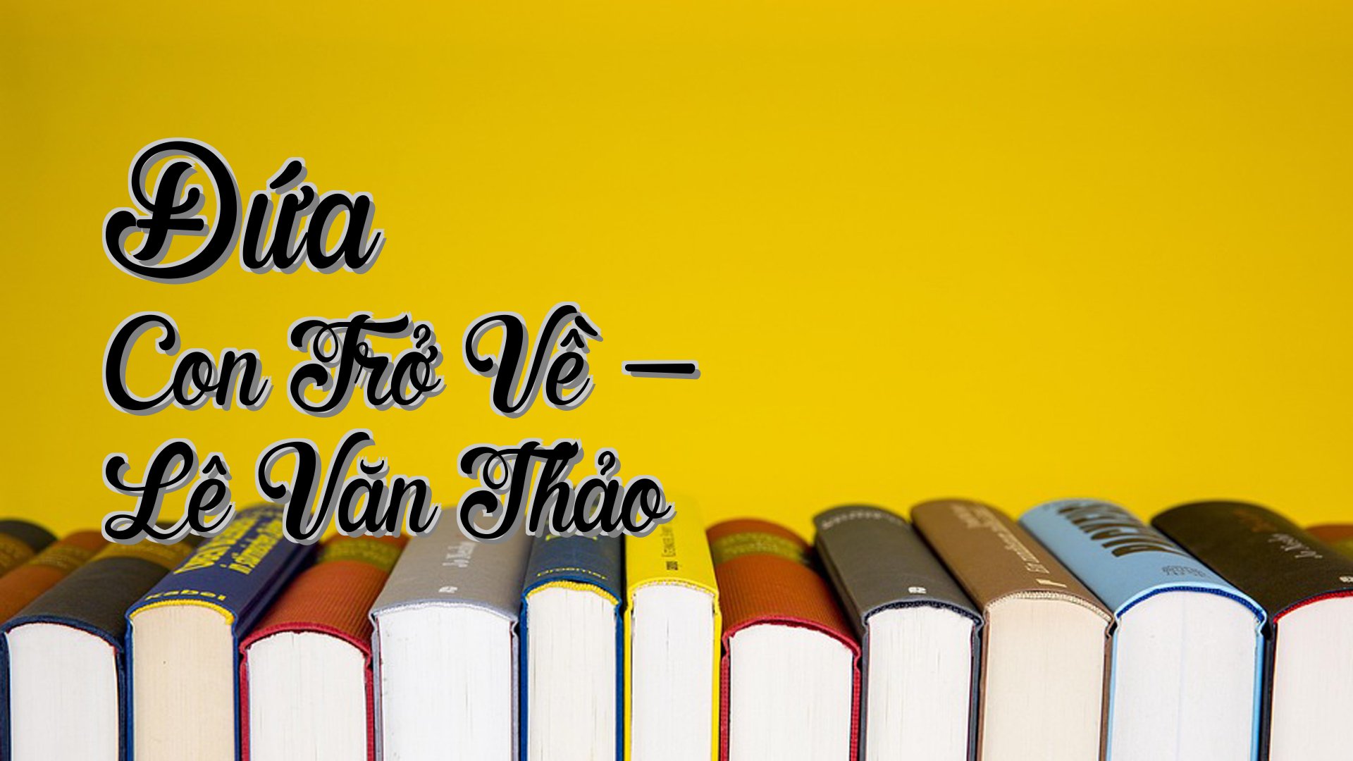 cover-Đứa Con Trở Về - Lê Văn Thảo