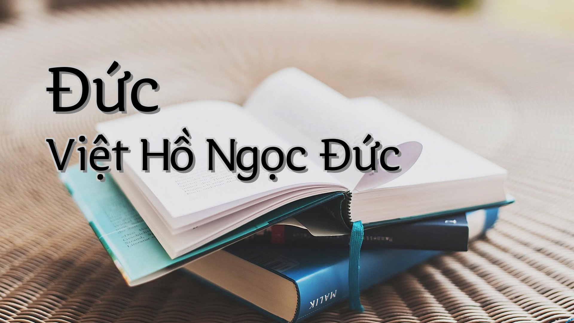 Cover image for Đức Việt Hồ Ngọc Đức