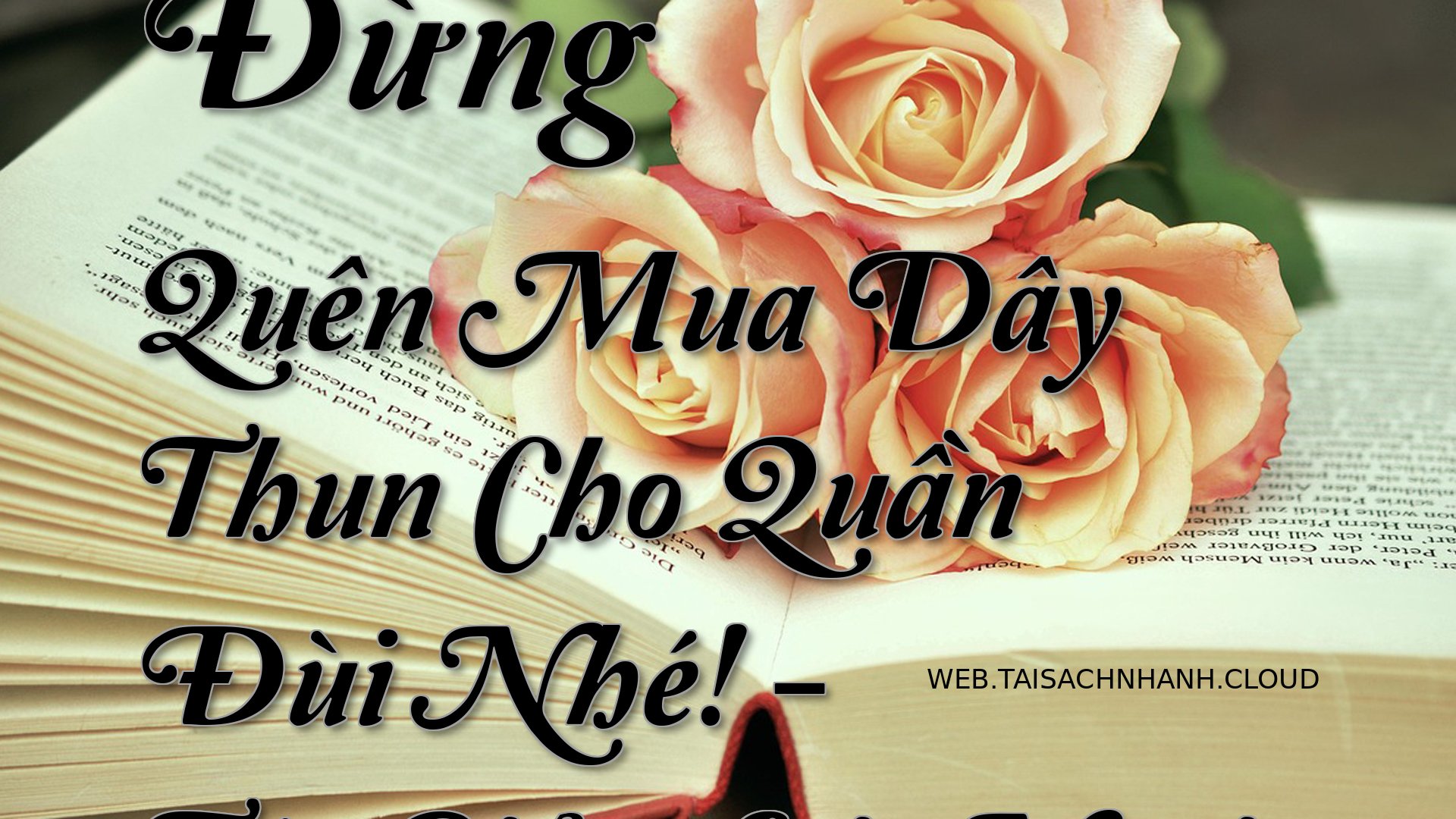 Cover Dung Quen Mua Day Th.jpg