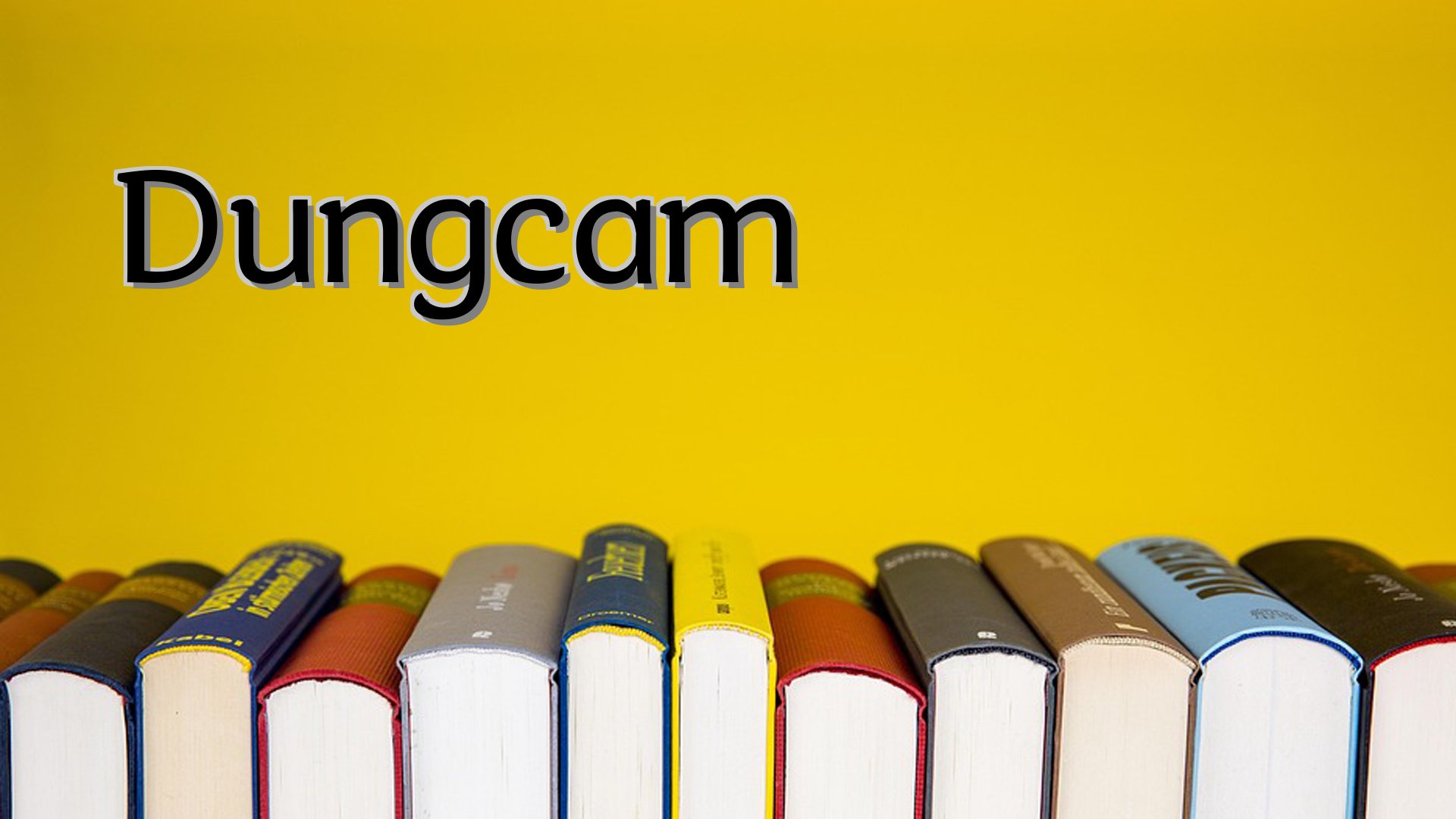 Cover image for Dungcam