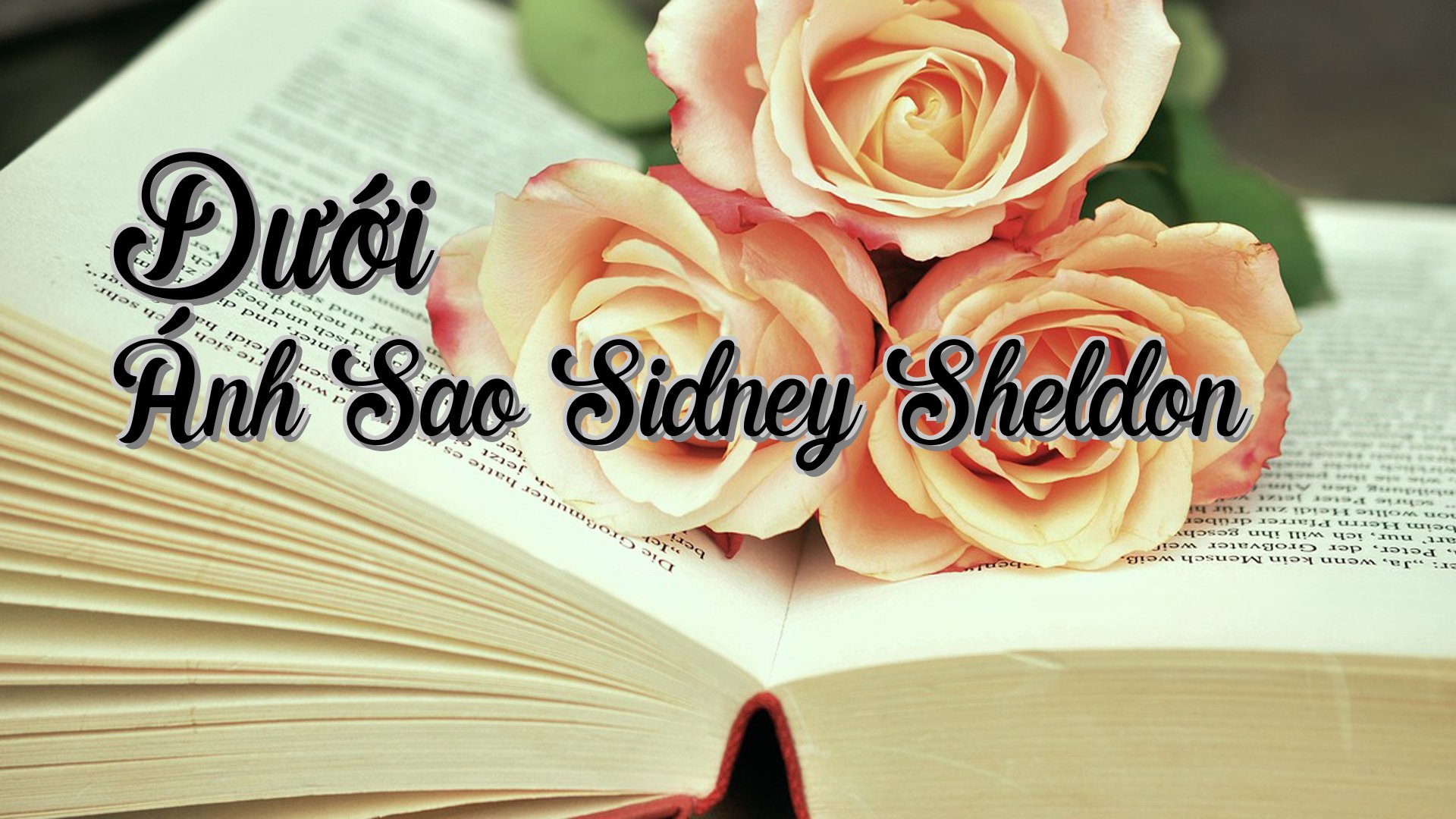 cover-Dưới Ánh Sao Sidney Sheldon