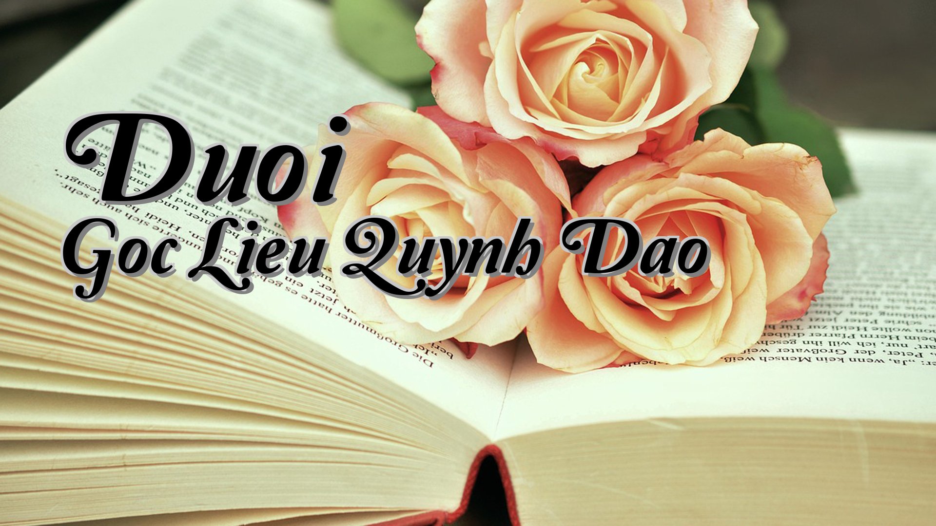 cover-Duoi Goc Lieu Quynh Dao