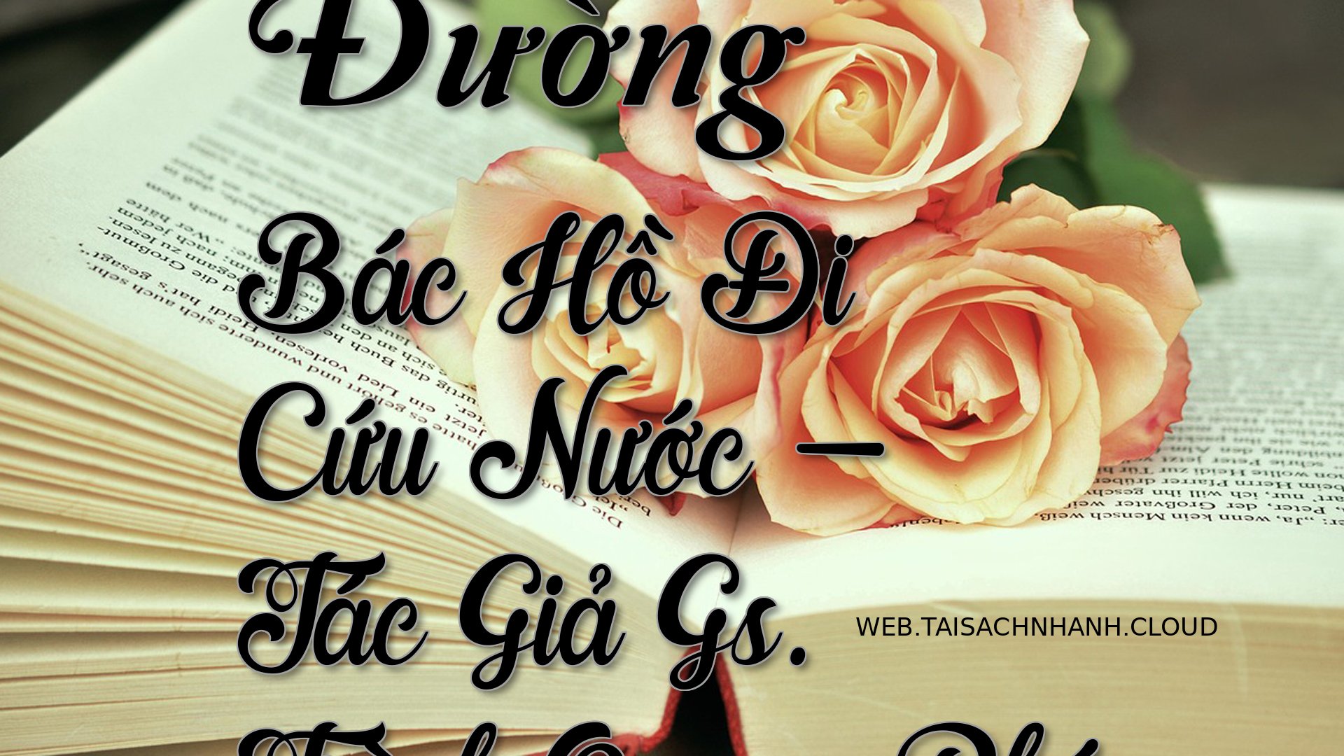 Cover Duong Bac Ho Di Cuu .jpg