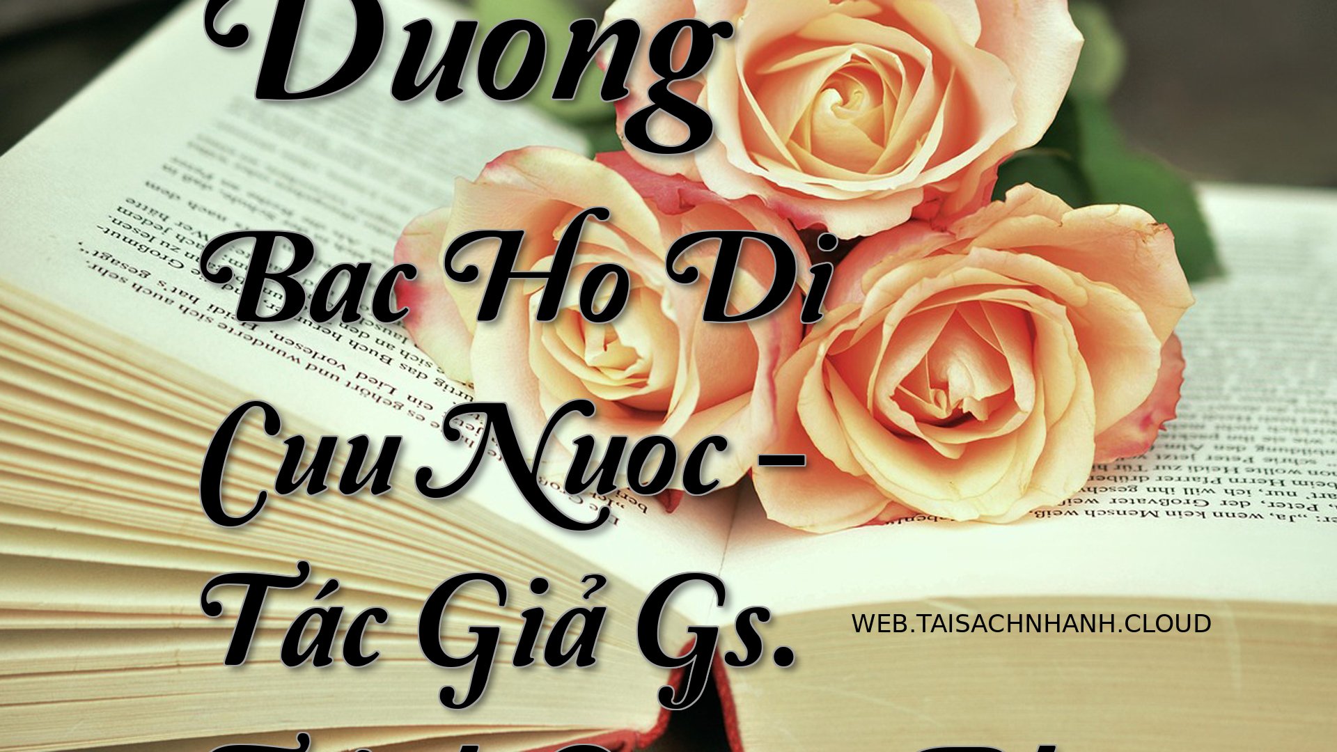 Cover Duong Bac Ho Di Cuu .jpg