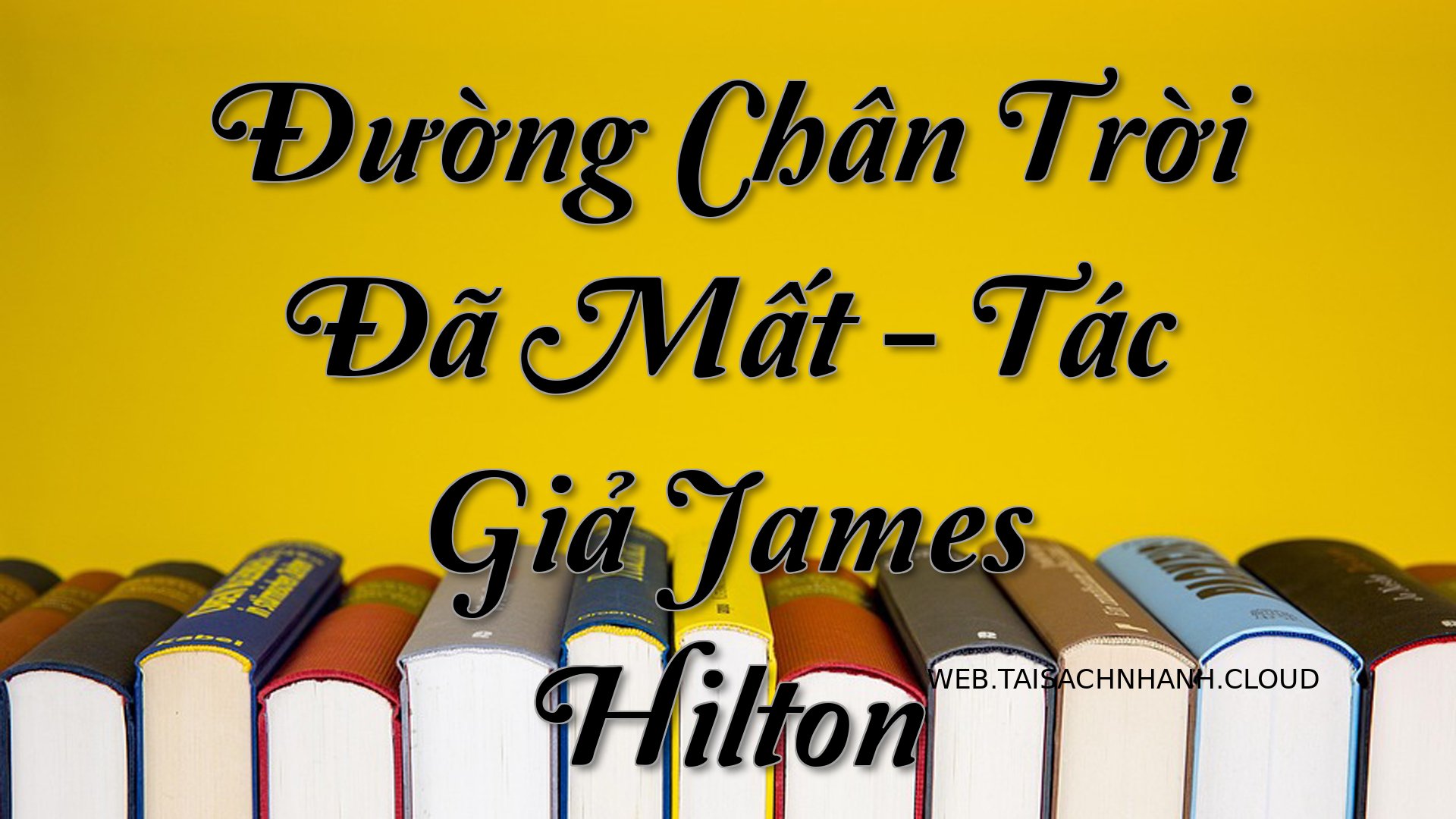 Cover Duong Chan Troi Da M.jpg