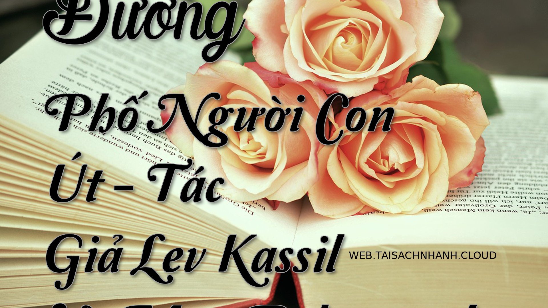 Cover Duong Pho Nguoi Con .jpg