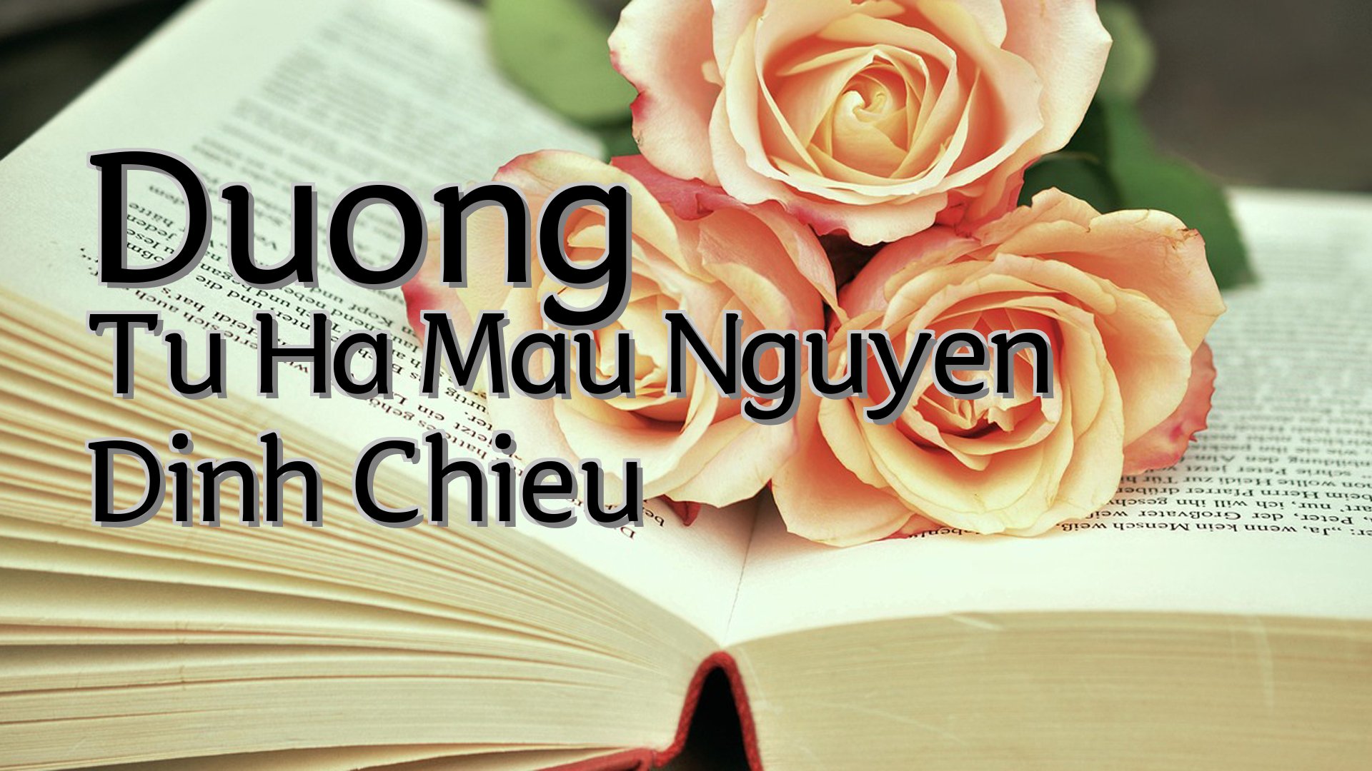 cover-Duong Tu Ha Mau Nguyen Dinh Chieu