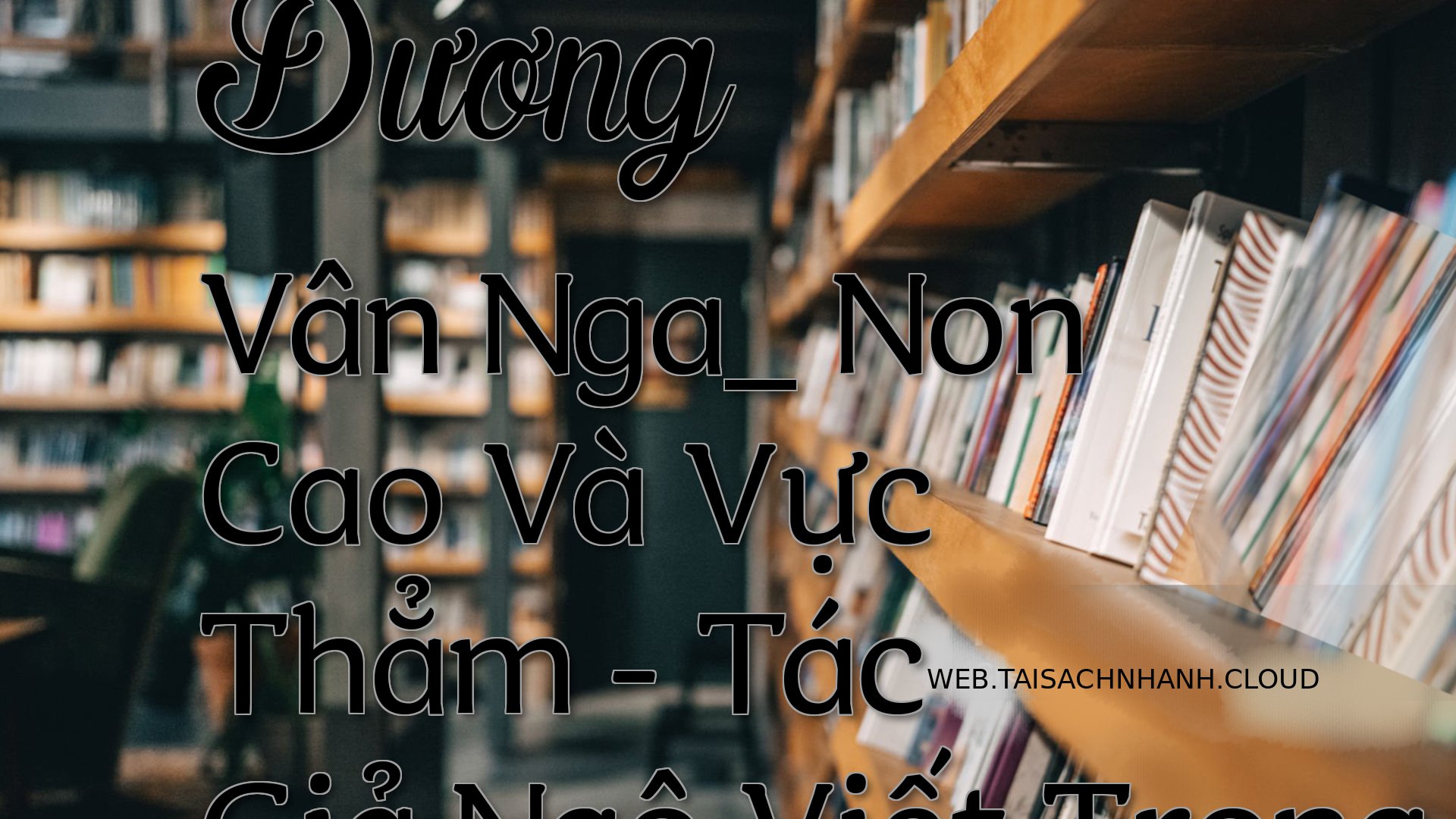 Cover Duong Van Nga Non C.jpg