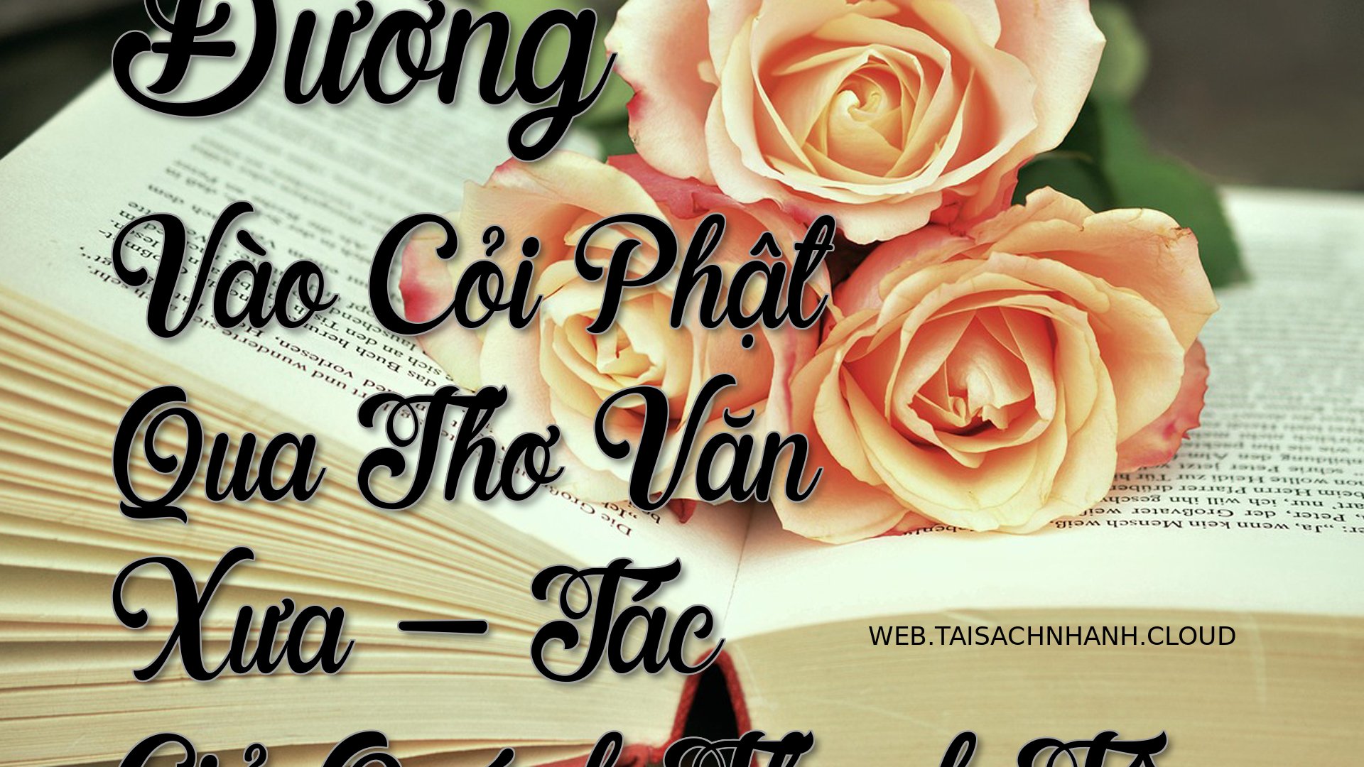 Cover Duong Vao Coi Phat Q.jpg