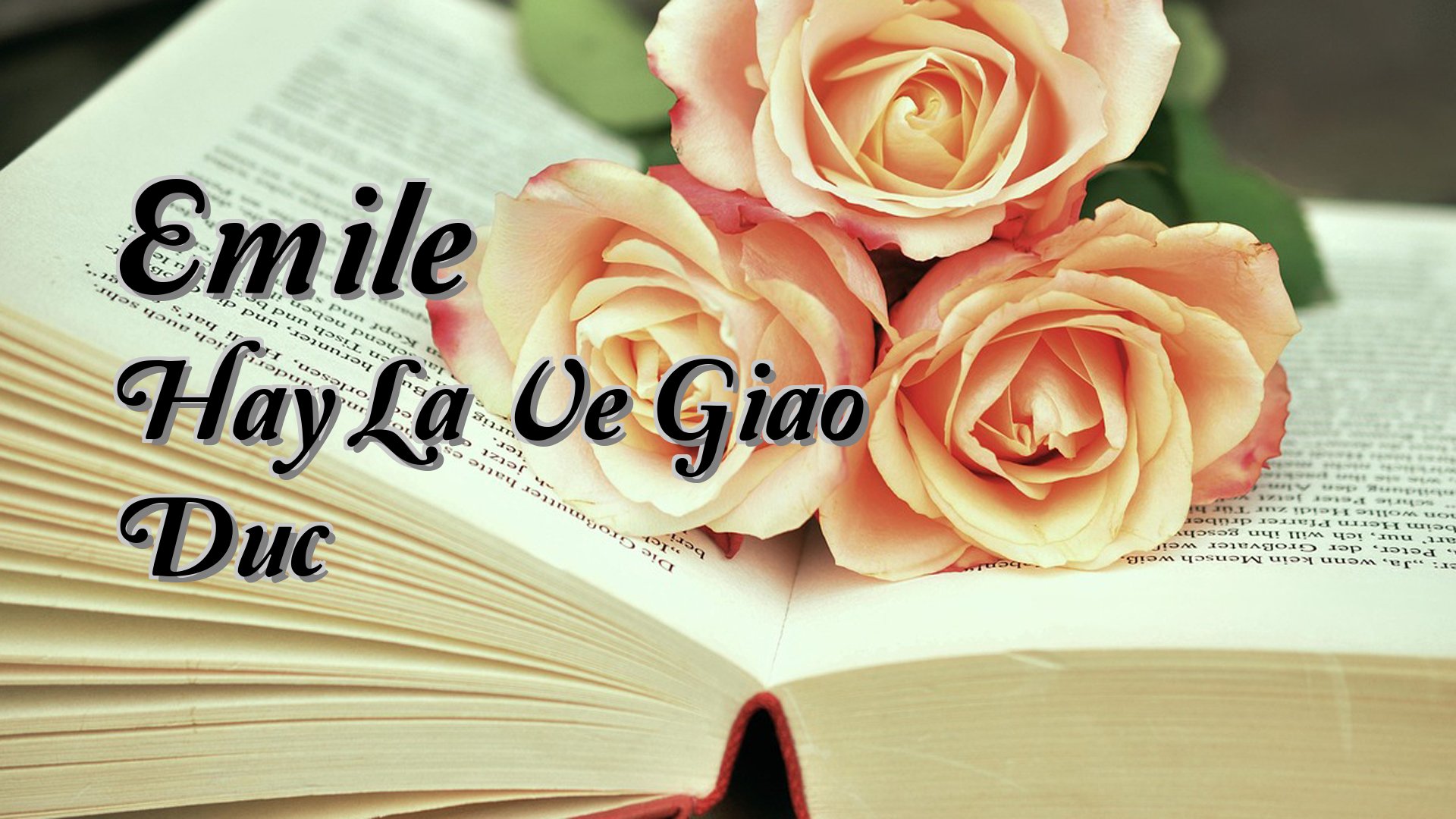 Cover image for Emile Hay La Ve Giao Duc
