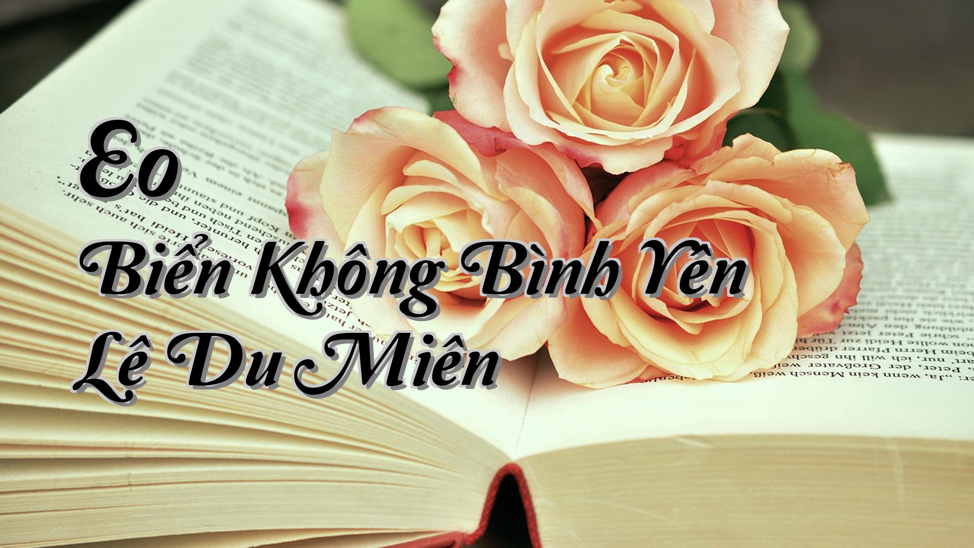 cover-Eo Biển Không Bình Yên Lê Du Miên