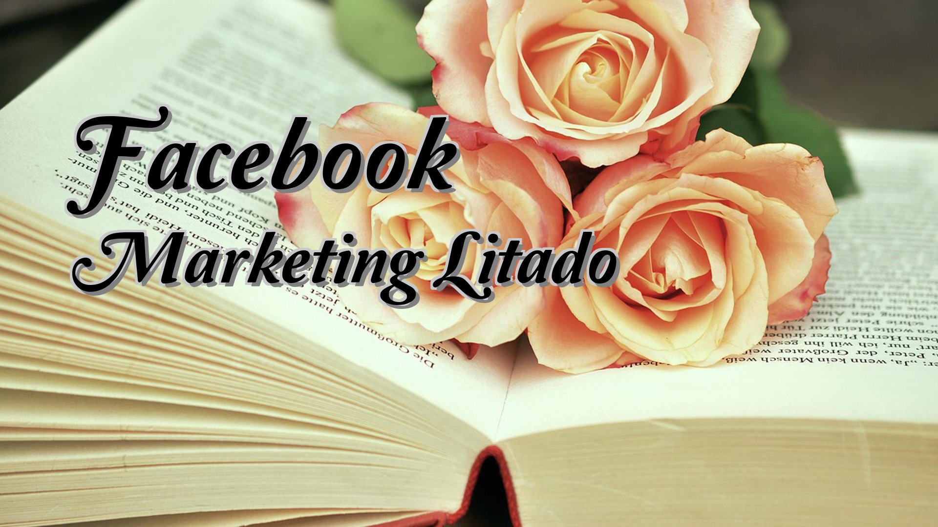 cover-Facebook Marketing Litado