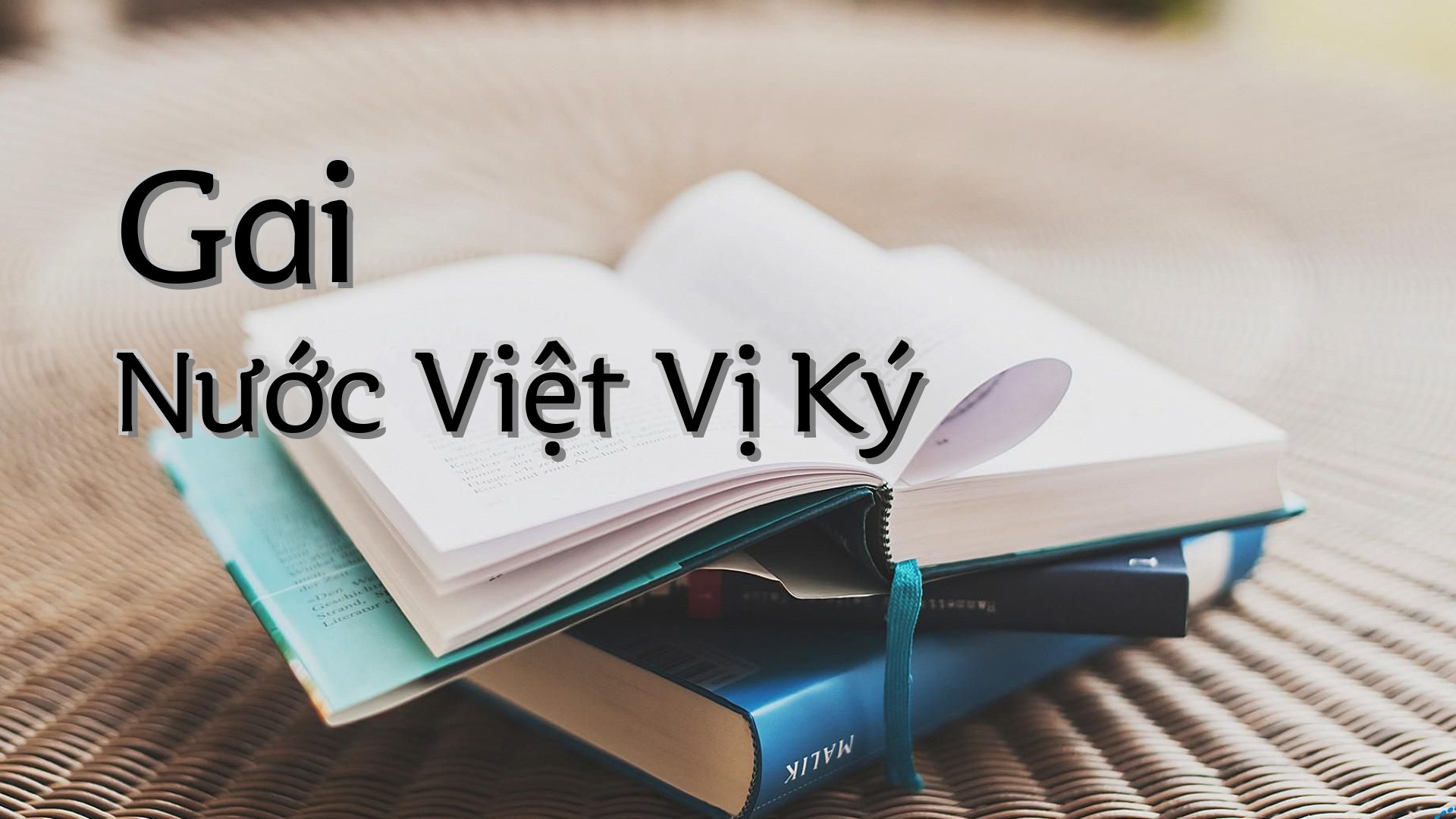 cover-Gai Nước Việt Vị Ký