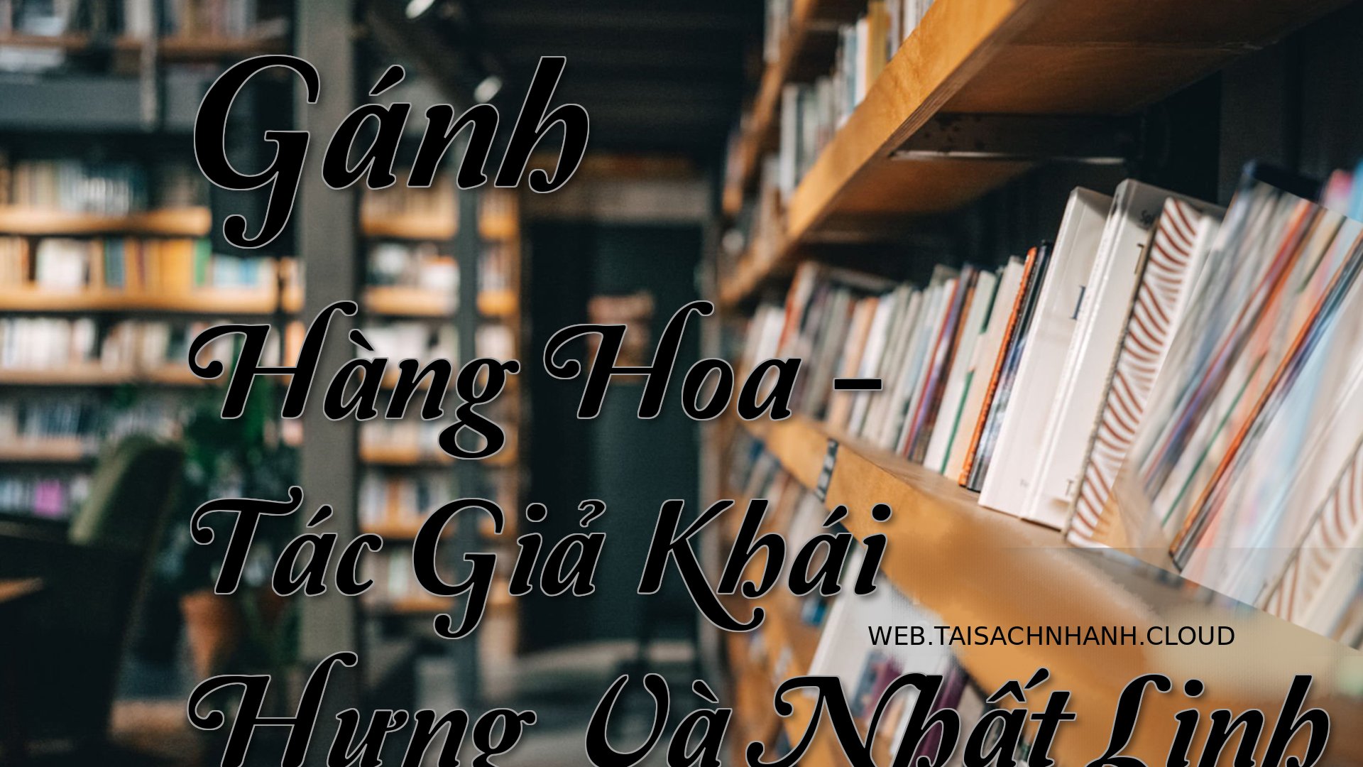 Cover Ganh Hang Hoa.jpg