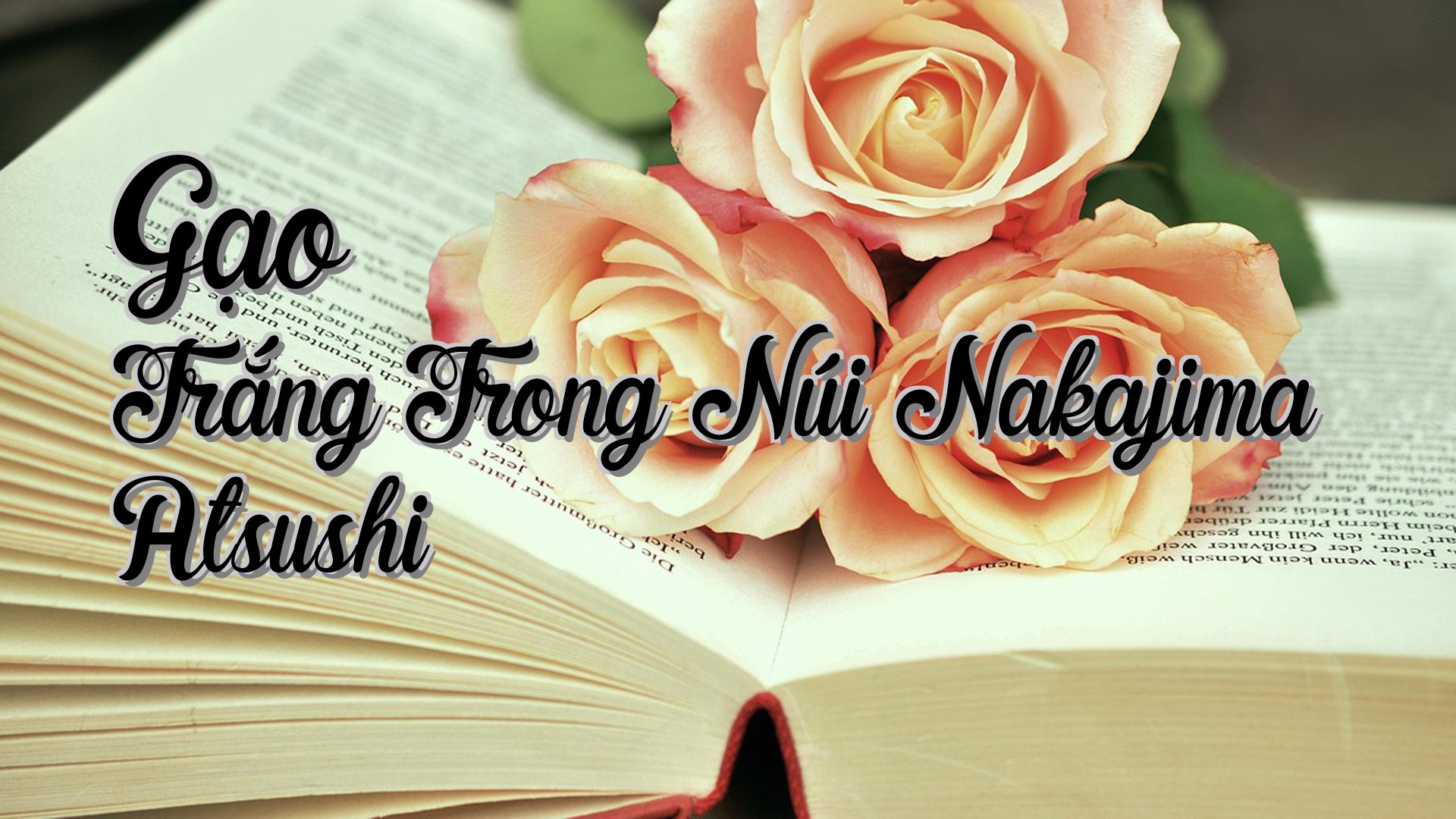 cover-Gạo Trắng Trong Núi Nakajima Atsushi