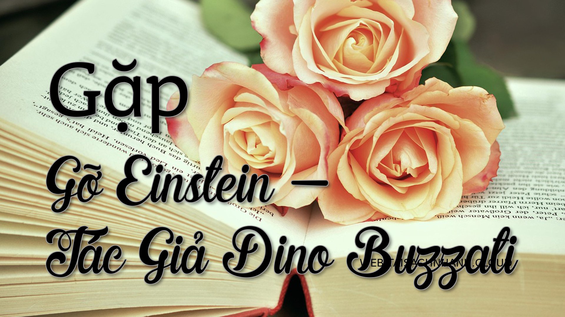 Cover Gap Go Einstein.jpg