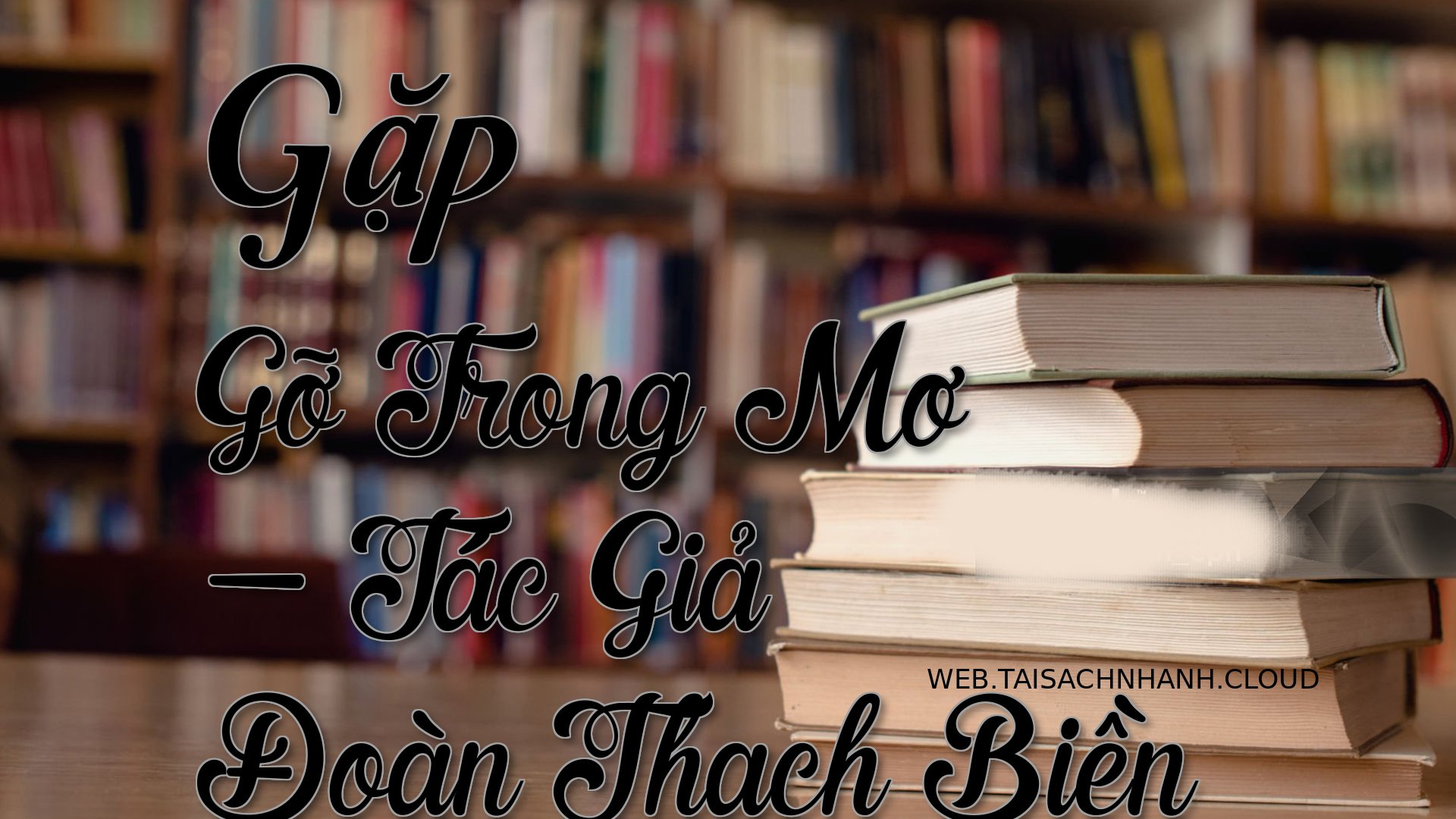 Cover Gap Go Trong Mo.jpg