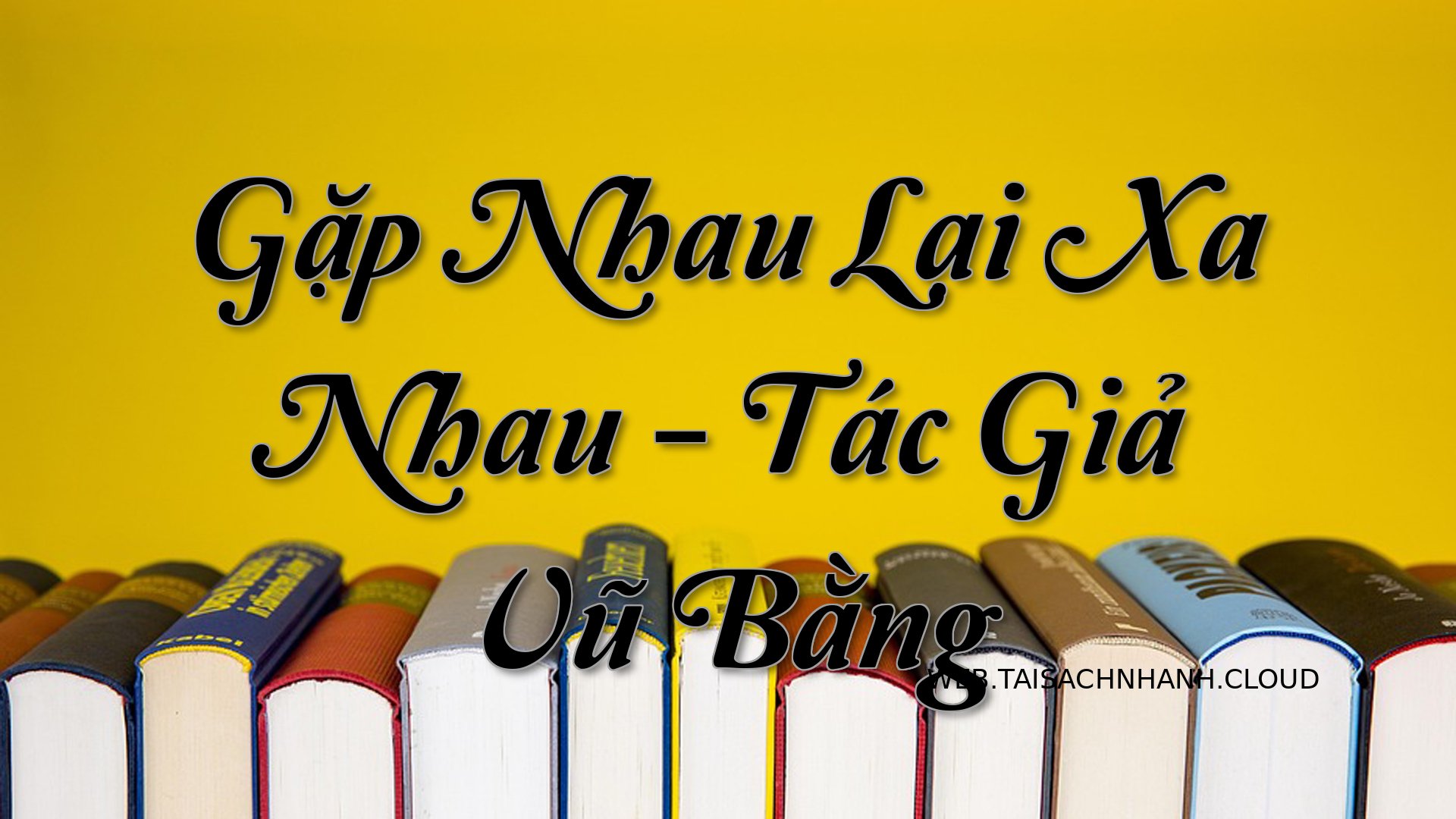 Cover Gap Nhau Lai Xa Nhau.jpg