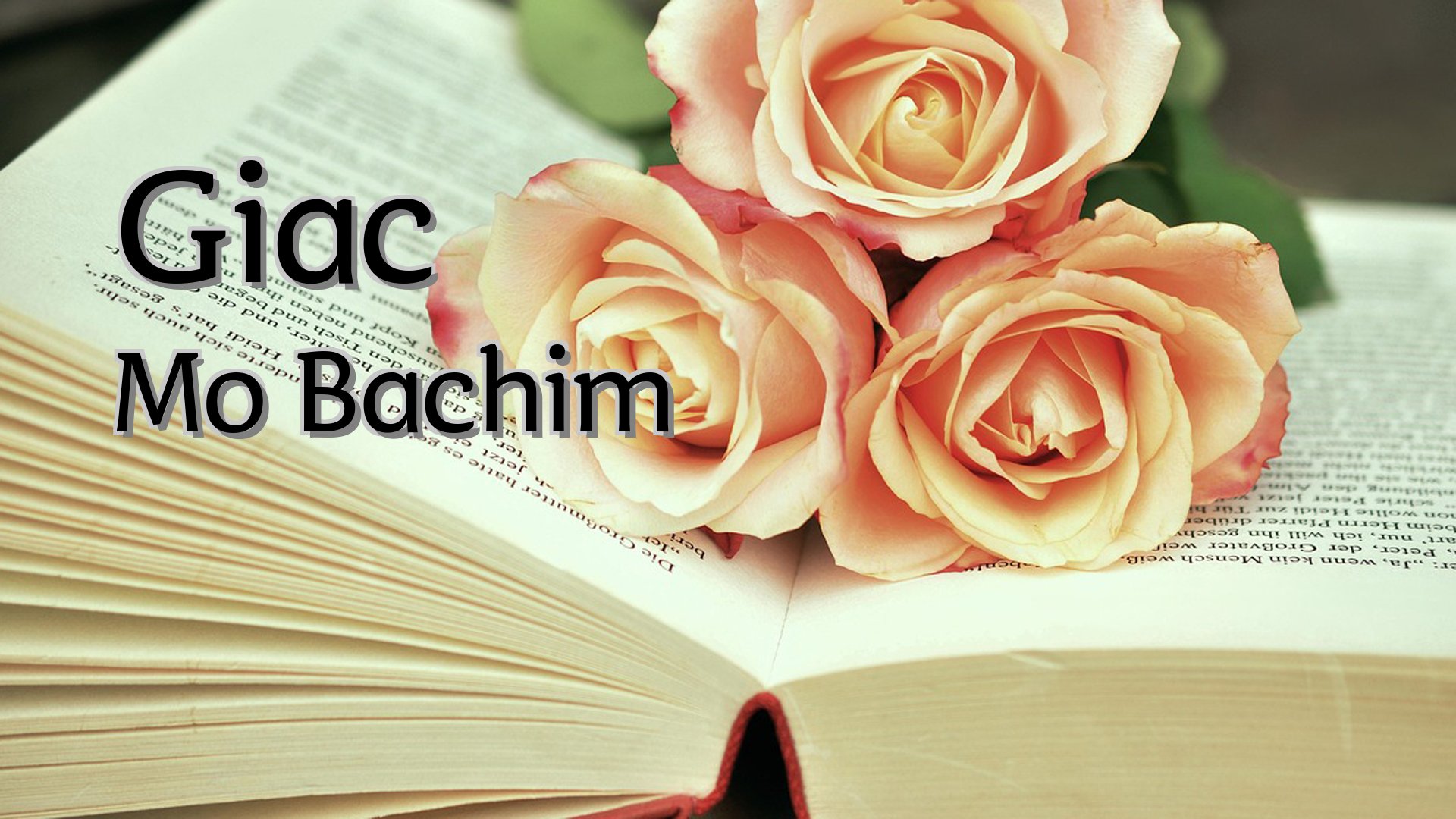 cover-Giac Mo Bachim