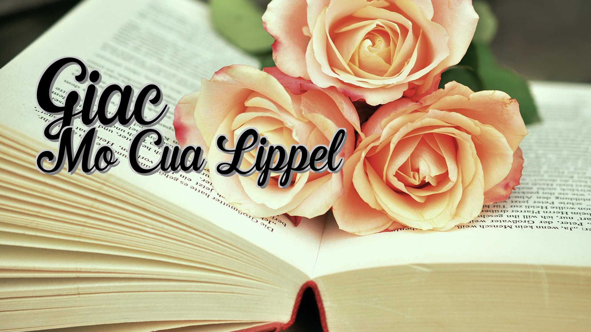 cover-Giac Mo Cua Lippel