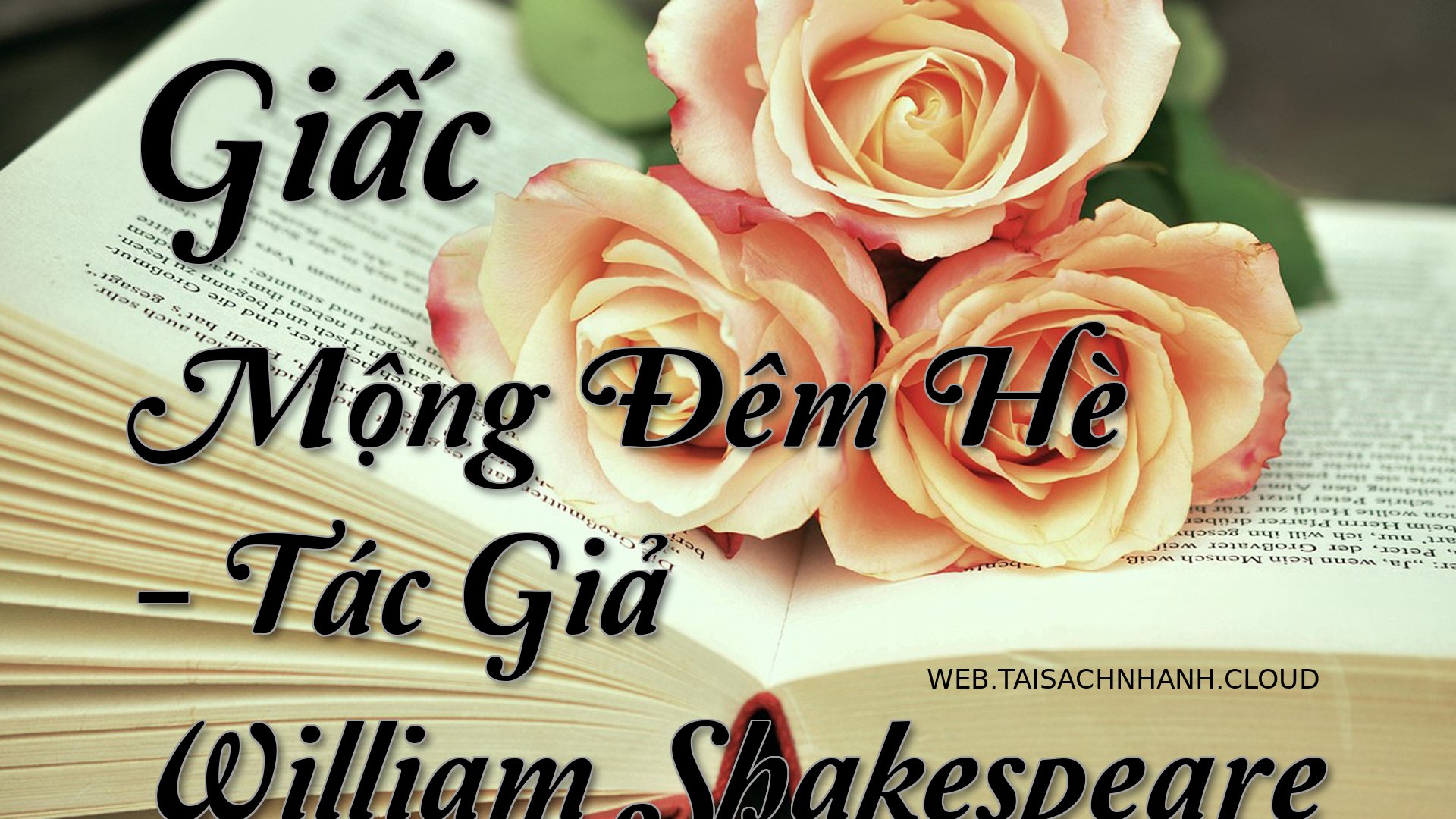 Cover Giac Mong Dem He.jpg