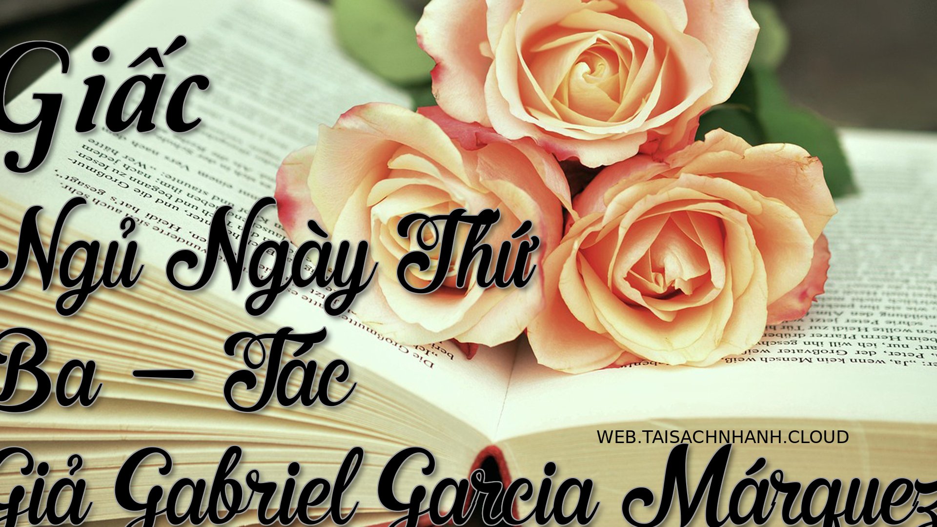 Cover Giac Ngu Ngay Thu Ba.jpg