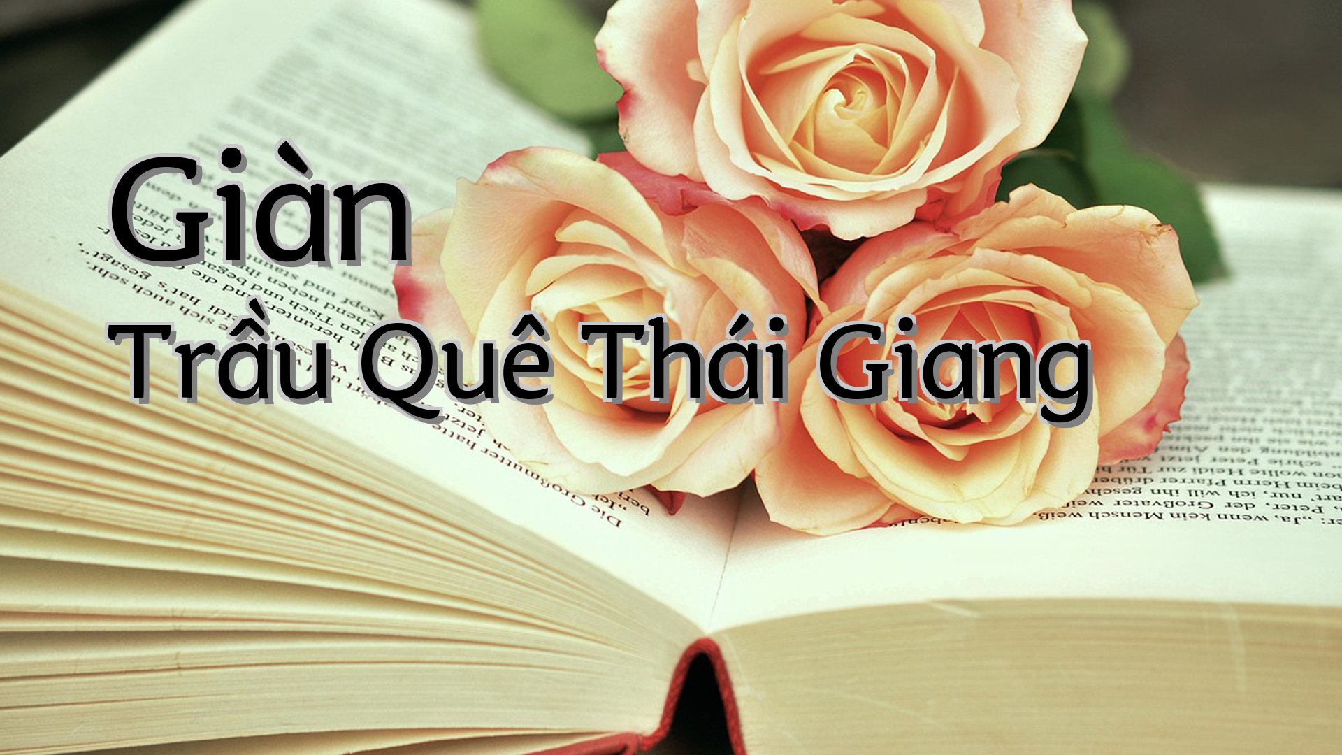 cover-Giàn Trầu Quê Thái Giang