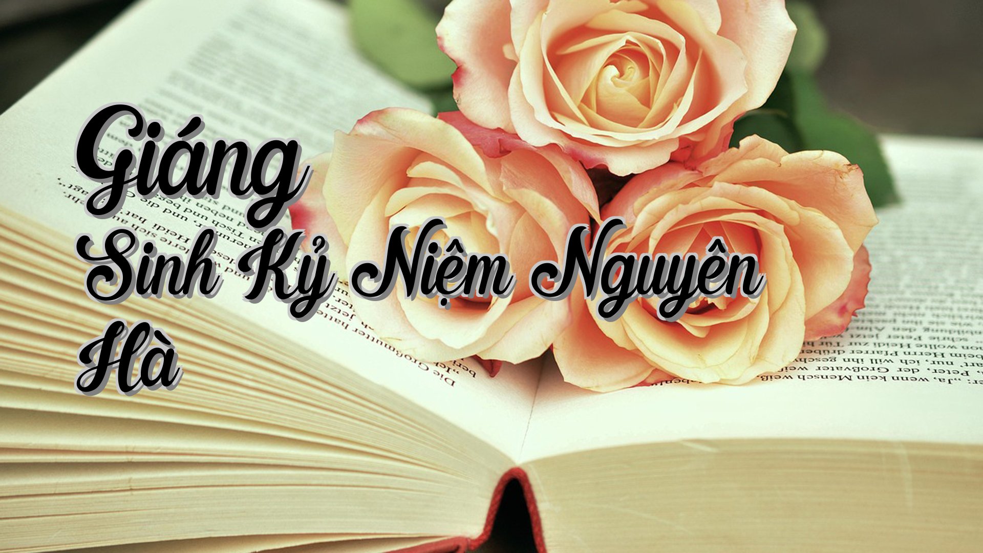 cover-Giáng Sinh Kỷ Niệm Nguyên Hà