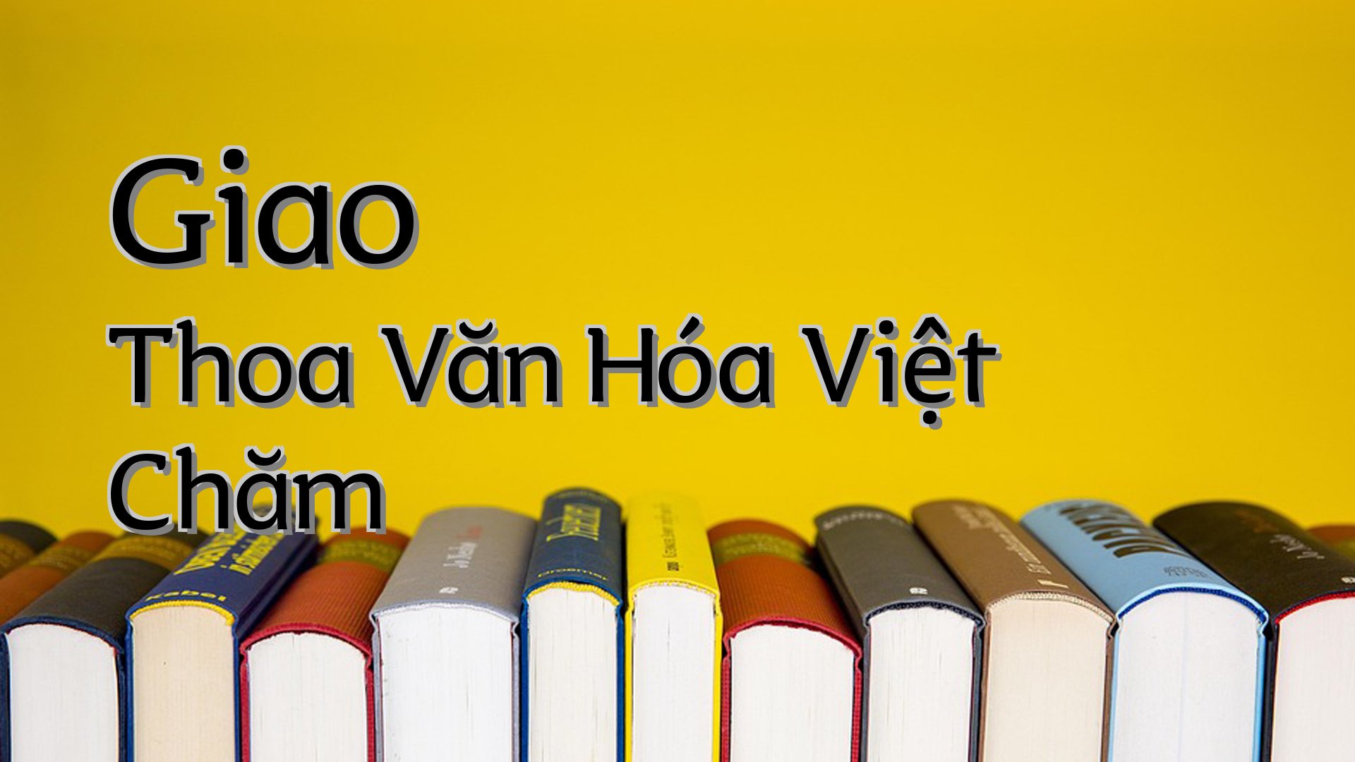 cover-Giao Thoa Văn Hóa Việt Chăm