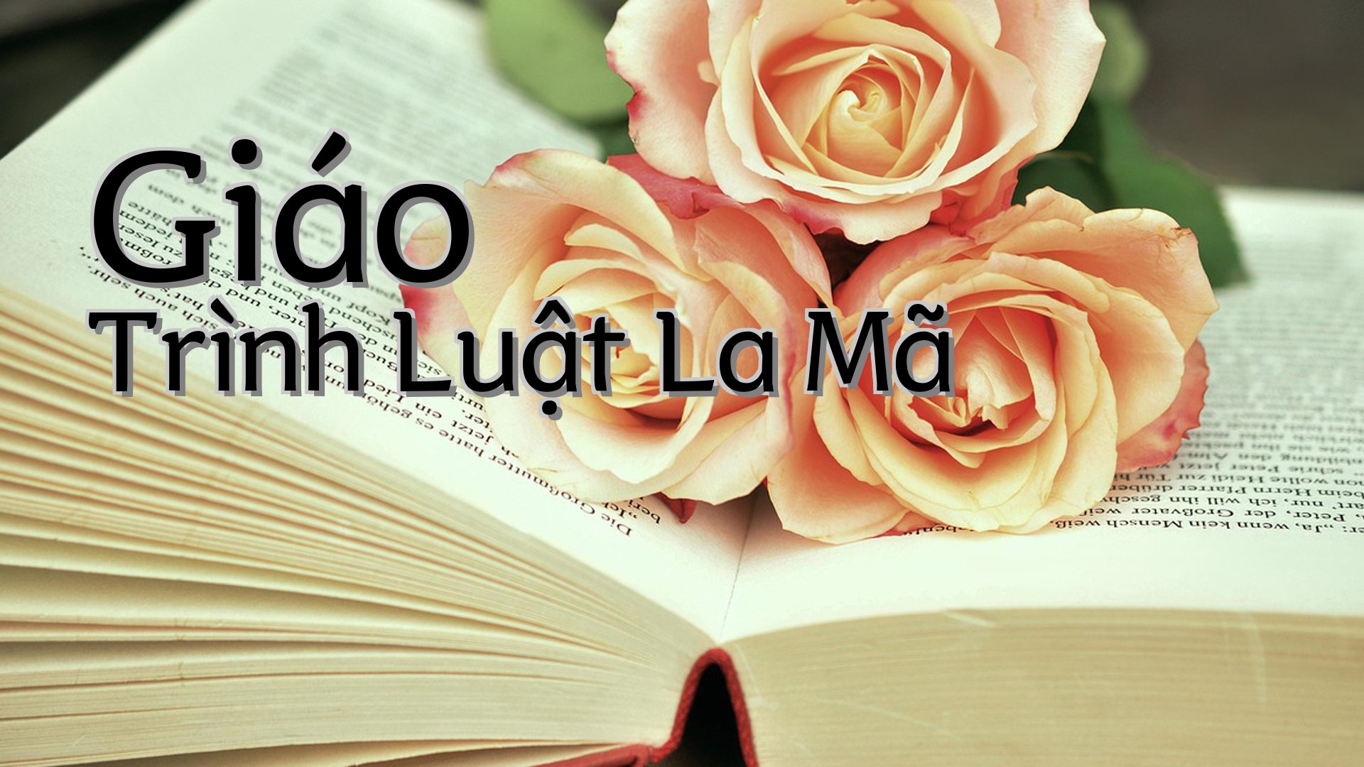 cover-Giáo Trình Luật La Mã