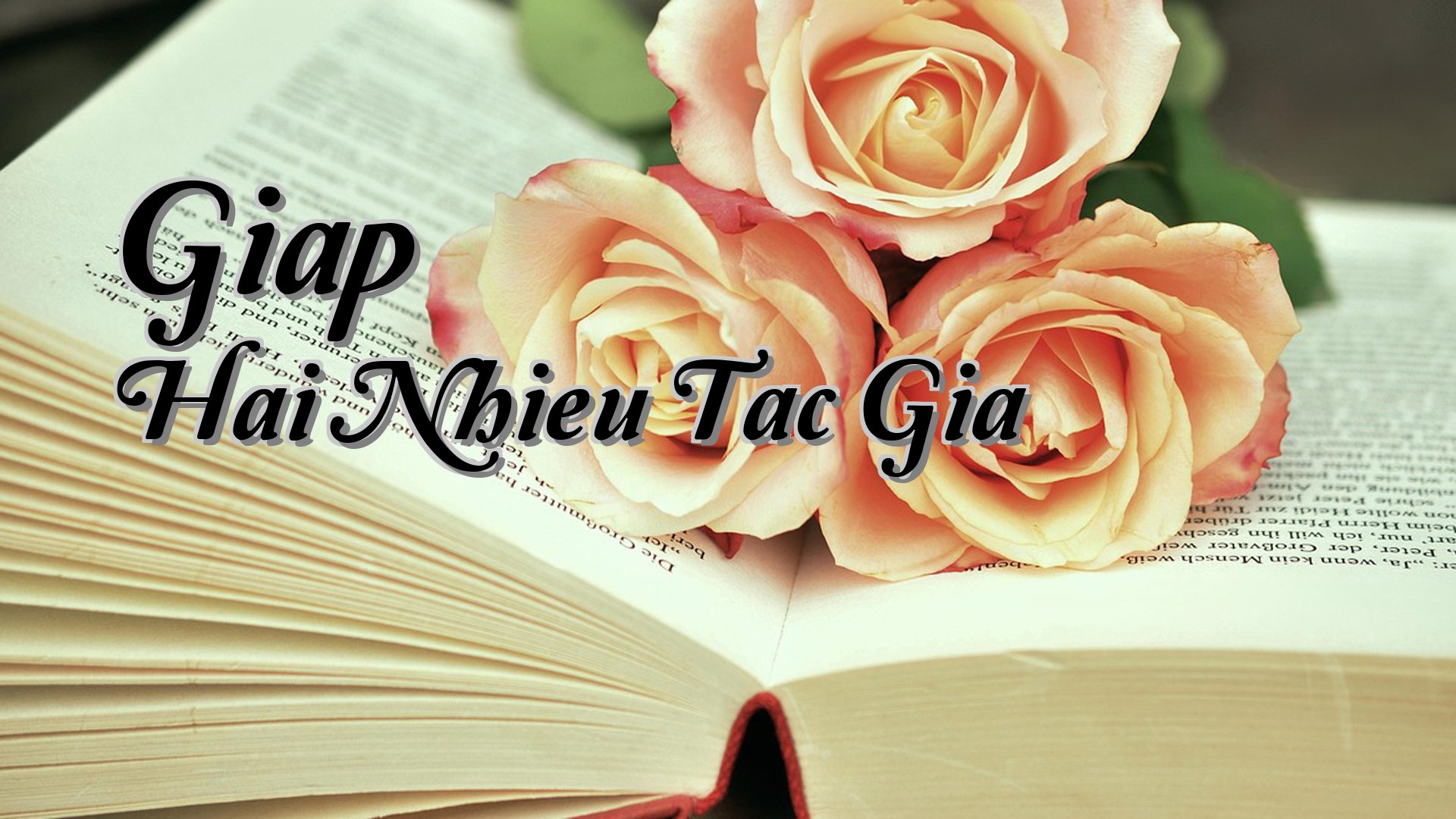 Cover image for Giap Hai Nhieu Tac Gia