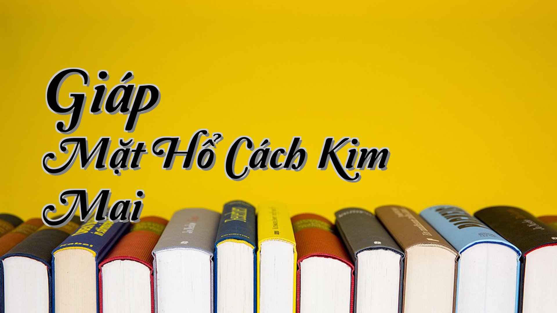 cover-Giáp Mặt Hổ Cách Kim Mai