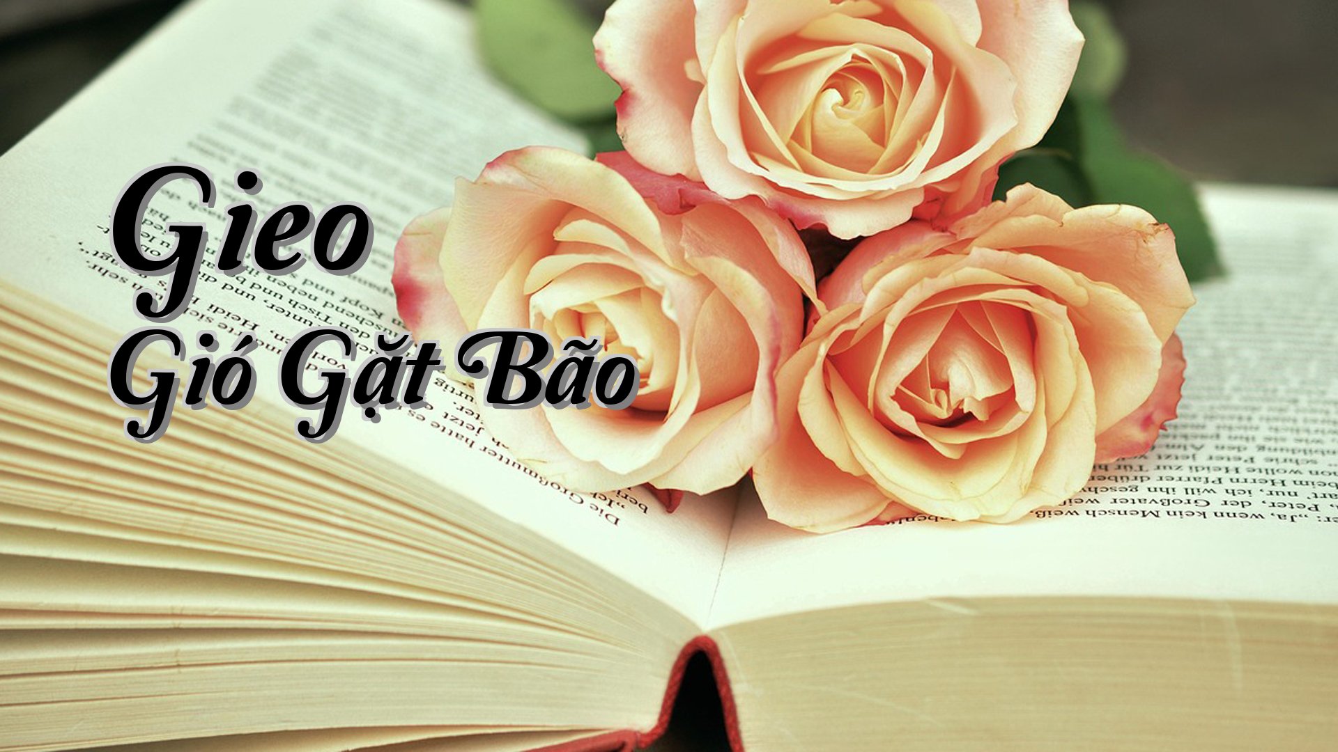 cover-Gieo Gió Gặt Bão