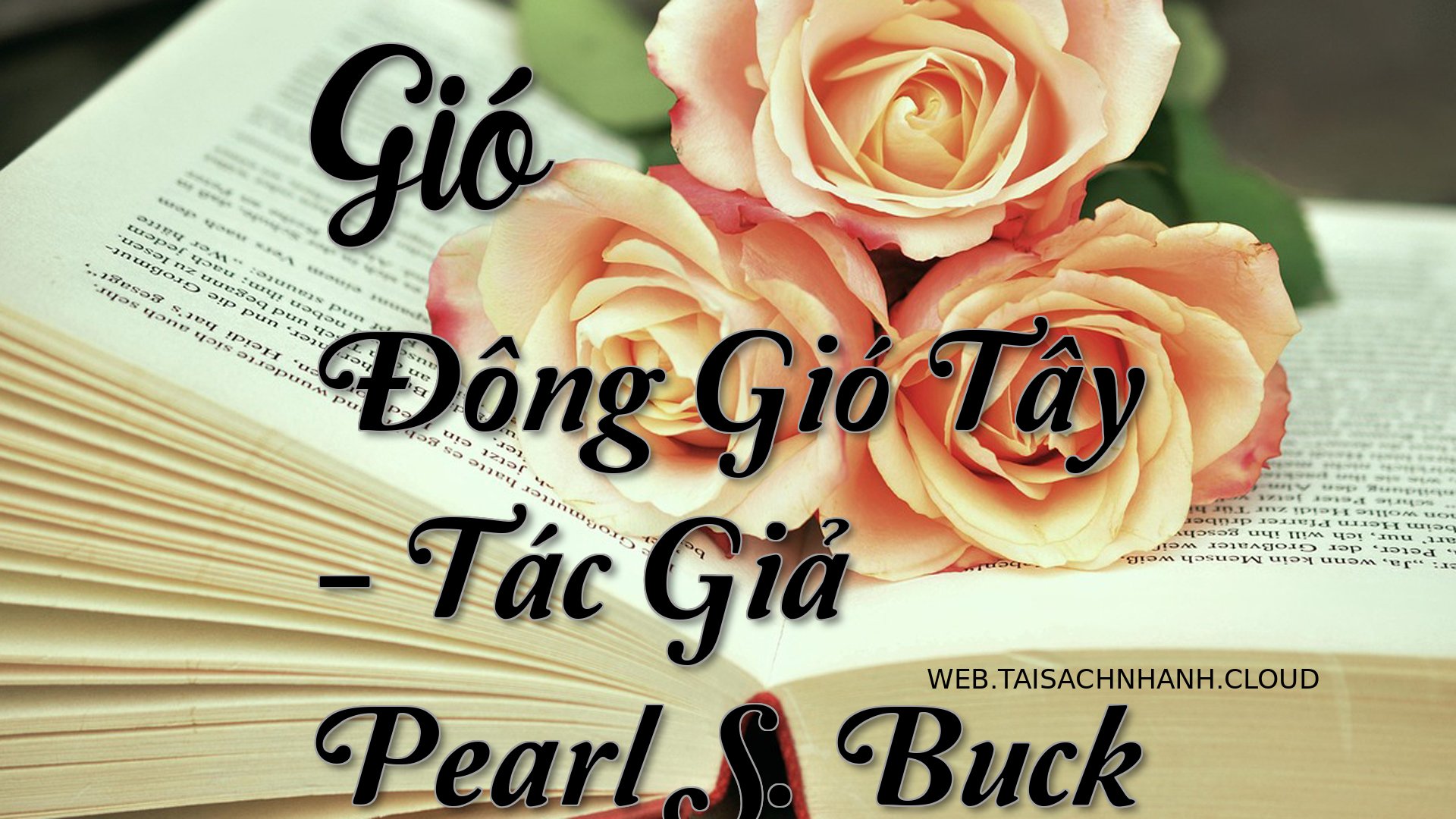 Cover Gio Dong Gio Tay.jpg