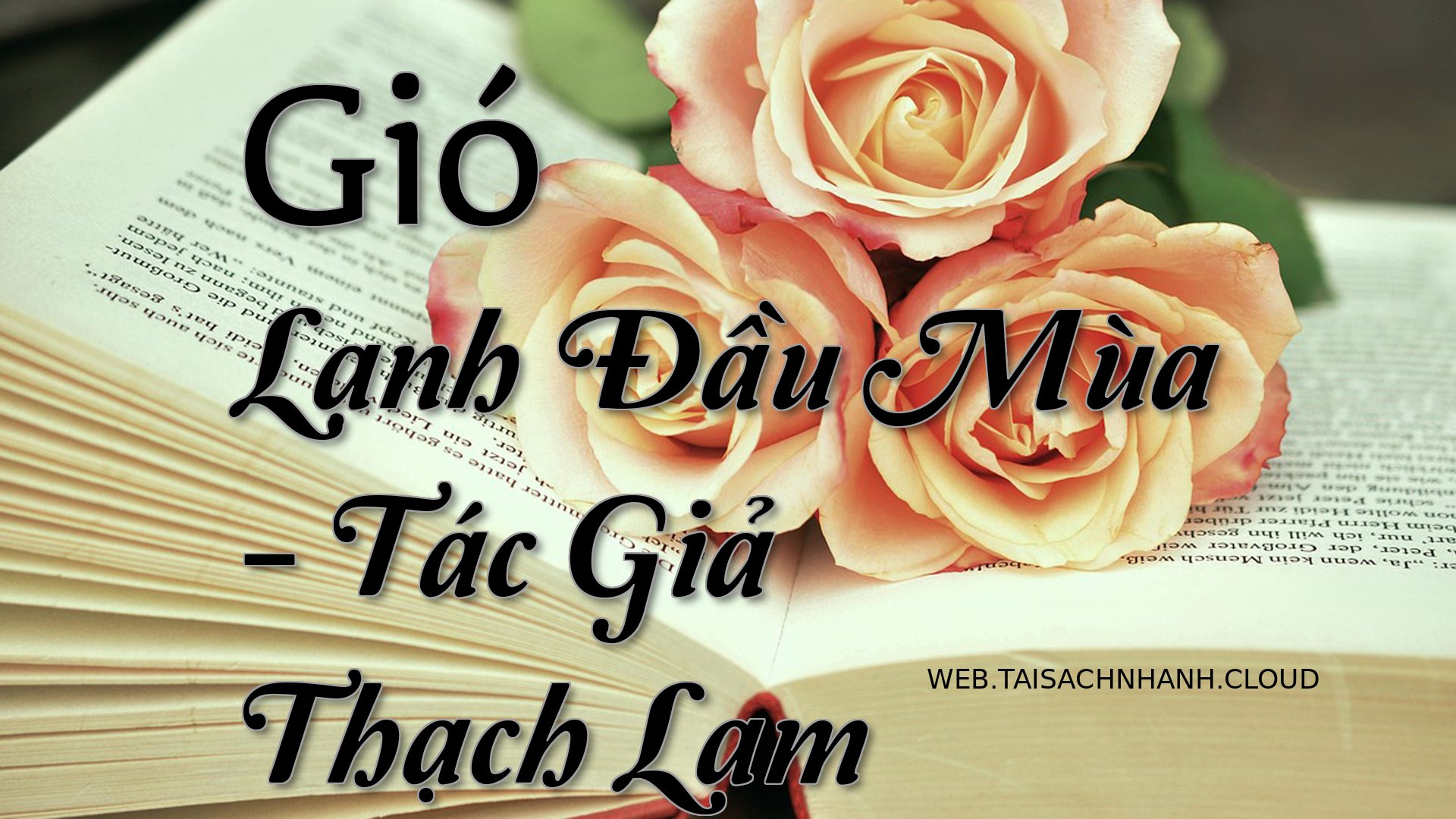 Cover Gio Lanh Dau Mua.jpg