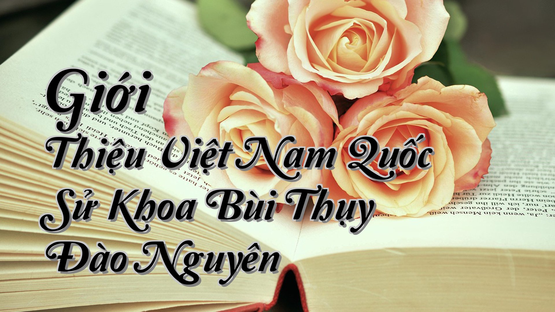 cover-Giới Thiệu Việt Nam Quốc Sử Khoa Bùi Thụy Đào Nguyên