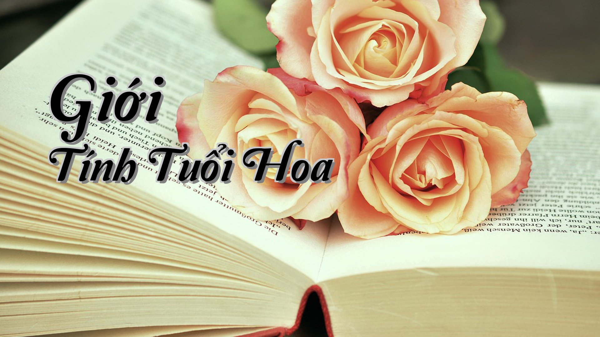 cover-Giới Tính Tuổi Hoa