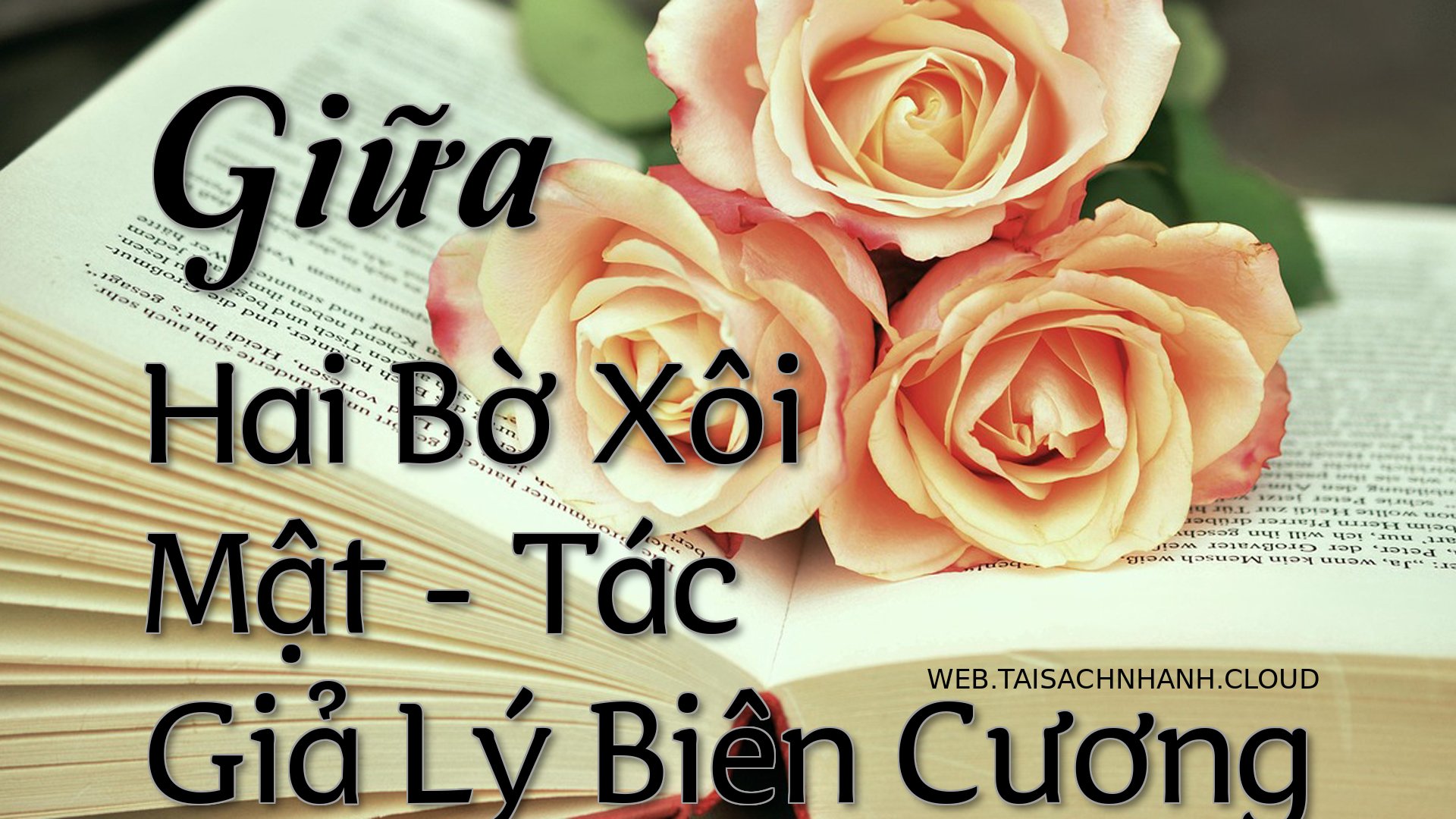 Cover Giua Hai Bo Xoi Mat.jpg