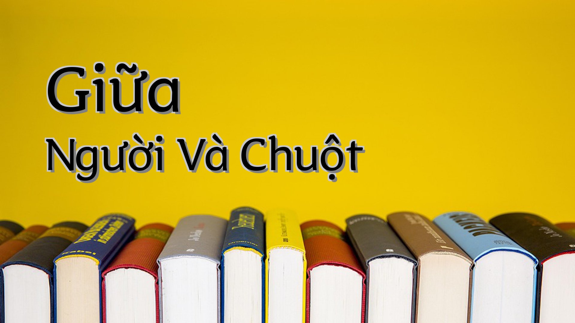 cover-Giữa Người Và Chuột