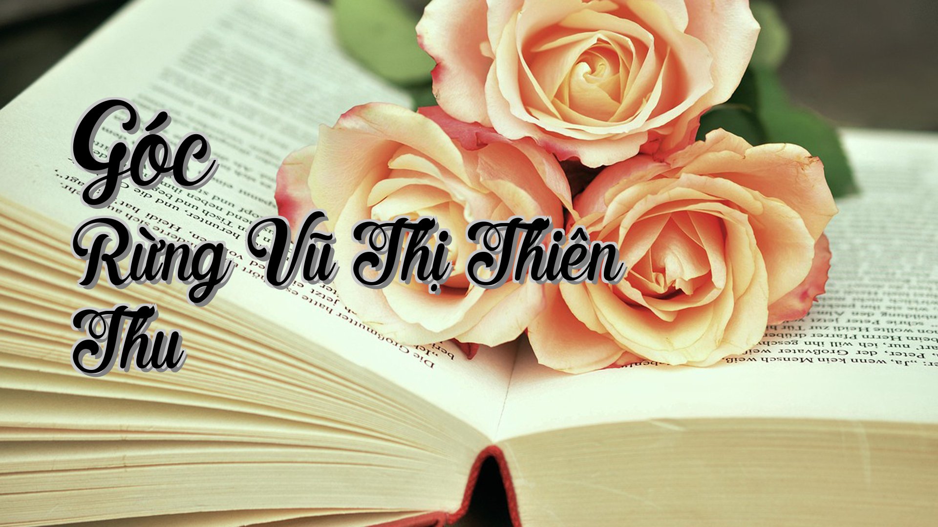 cover-Góc Rừng Vũ Thị Thiên Thu