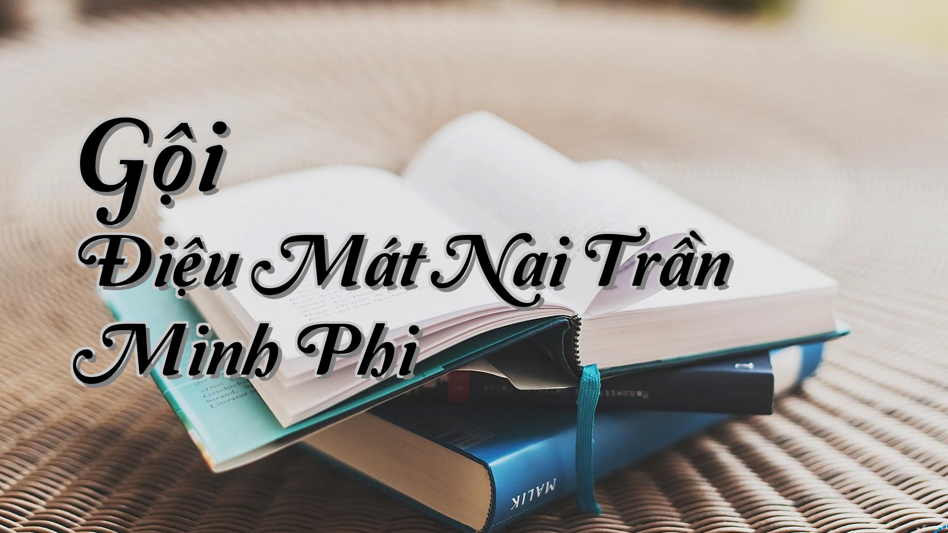 cover-Gội Điệu Mát Nai Trần Minh Phi