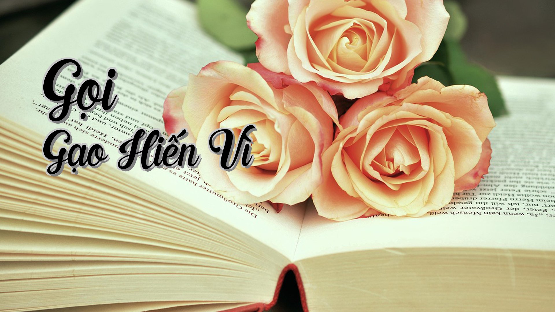 cover-Gọi Gạo Hiến Vì