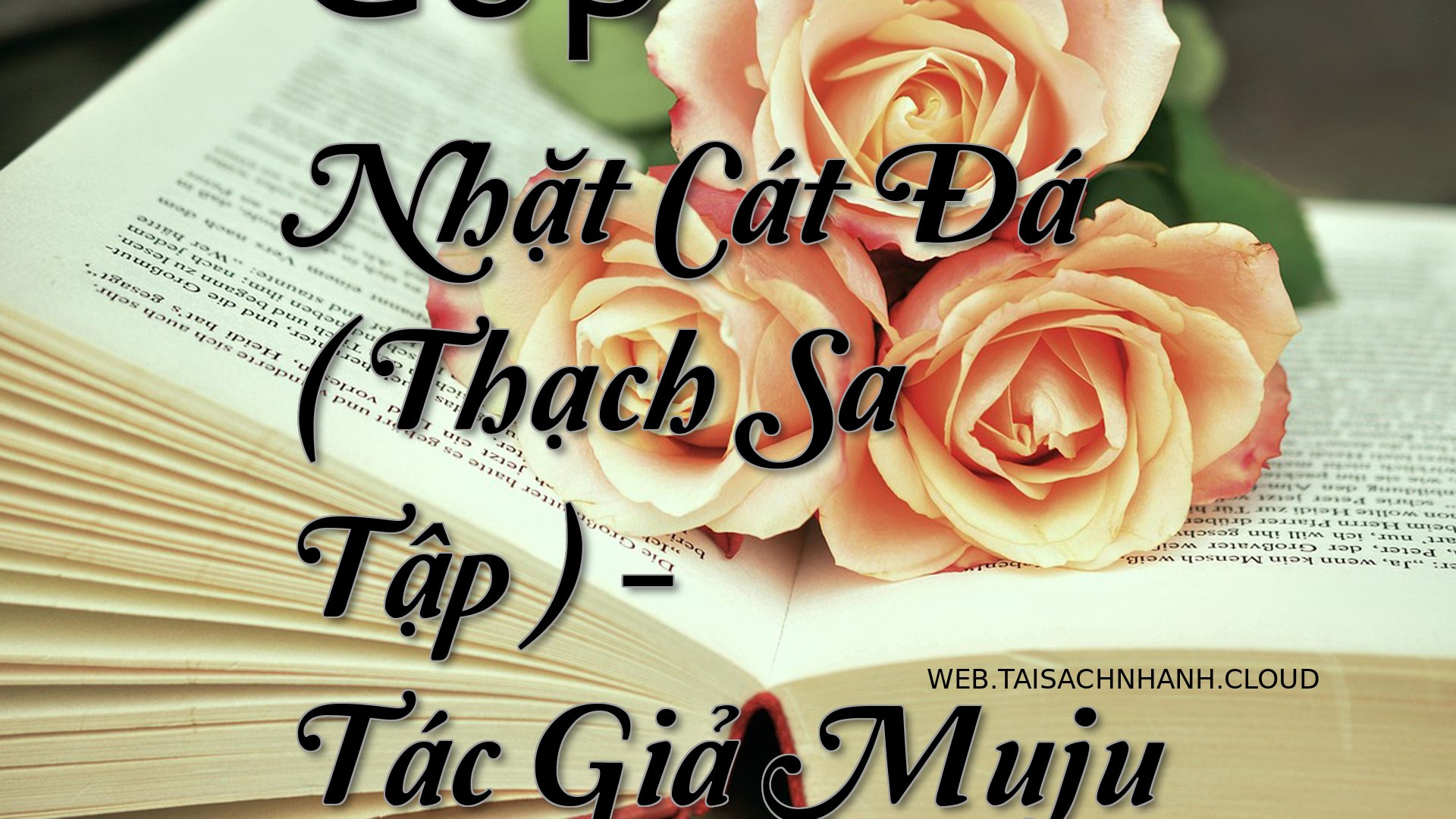 Cover Gop Nhat Cat Da.jpg