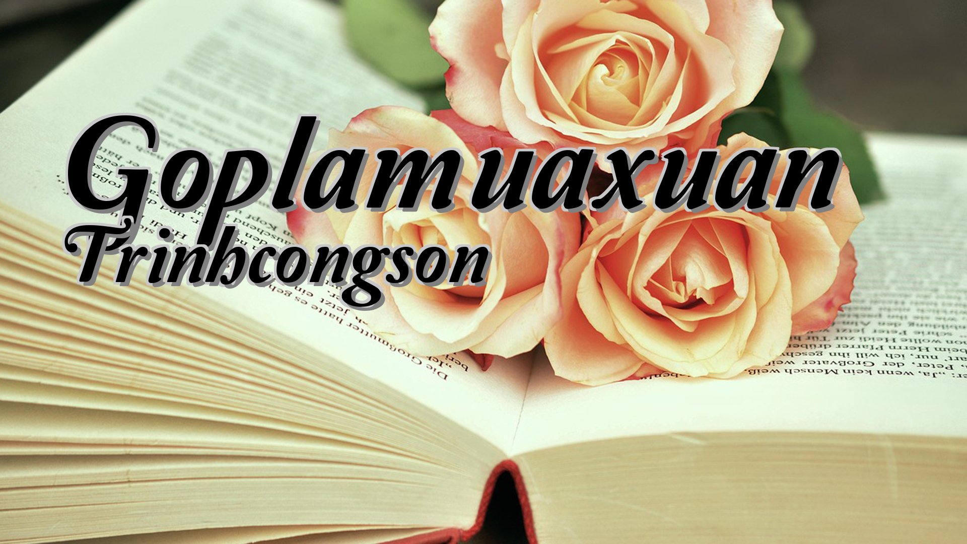 cover-Goplamuaxuan Trinhcongson