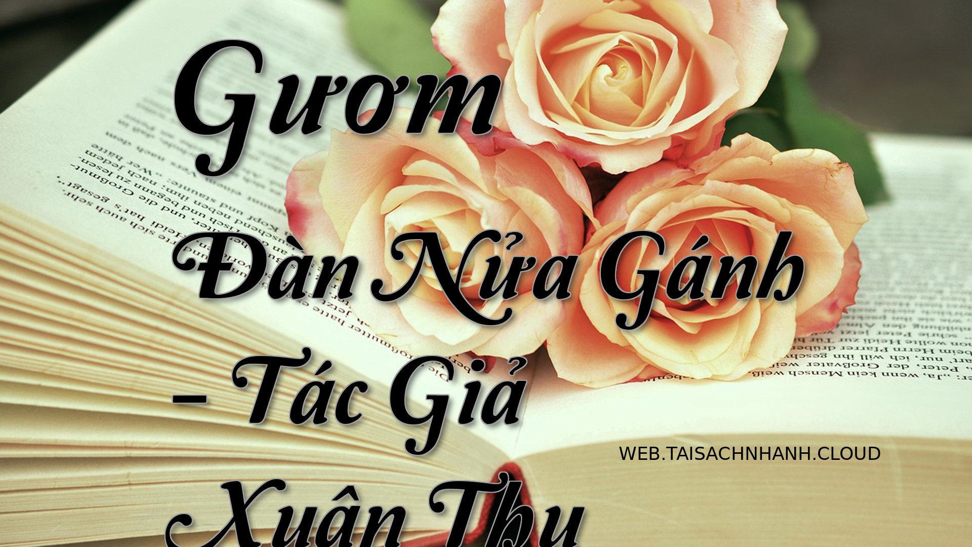 Cover Guom Dan Nua Ganh.jpg