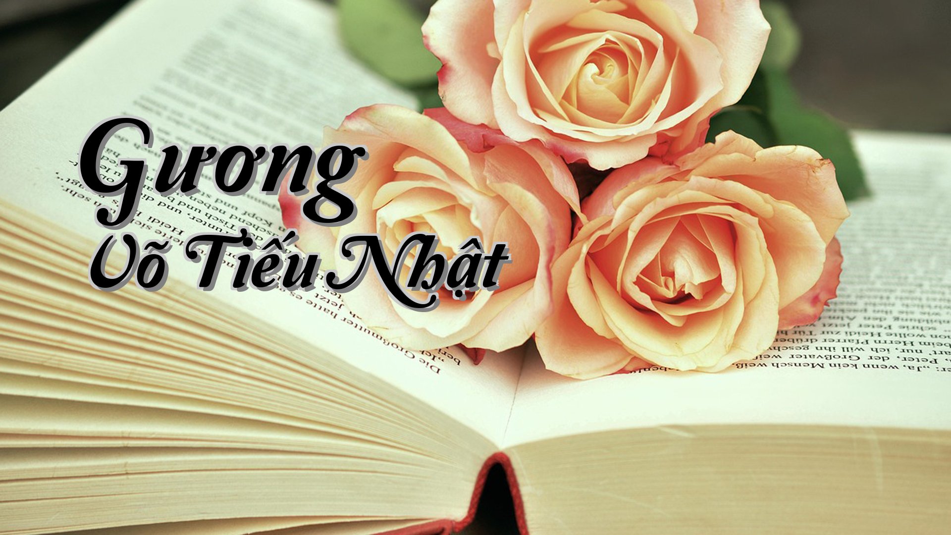 cover-Gương Võ Tiếu Nhật